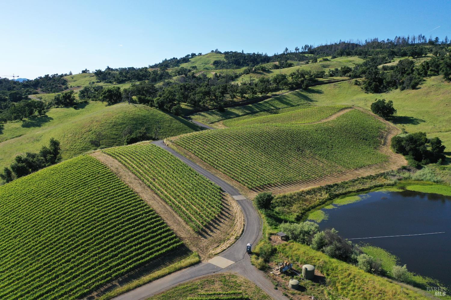 Aerial vineyard with rows of vines, a winding access road, and a pond among rolling hills.