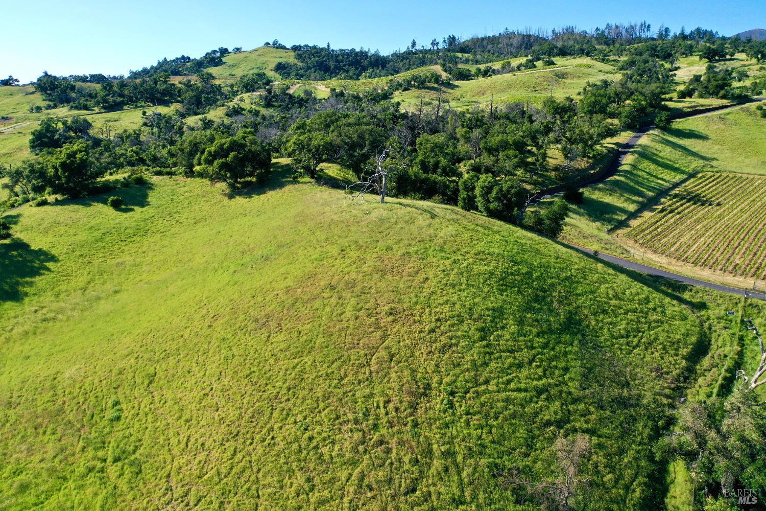 Aerial view of green acreage with vineyard rows, a winding road, and wooded hills.