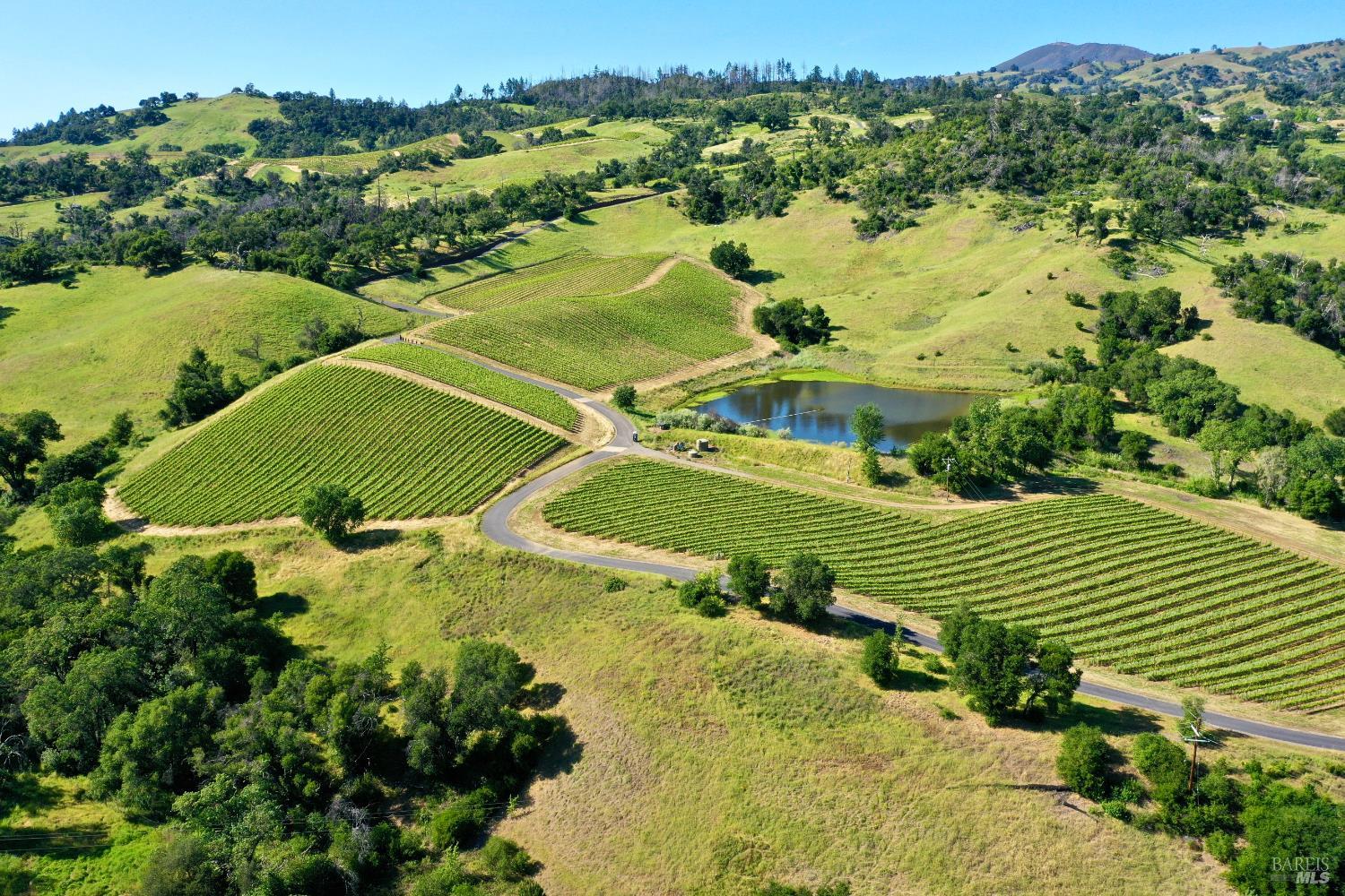 Aerial view of vineyard rows, a pond, and winding access road among rolling hills.