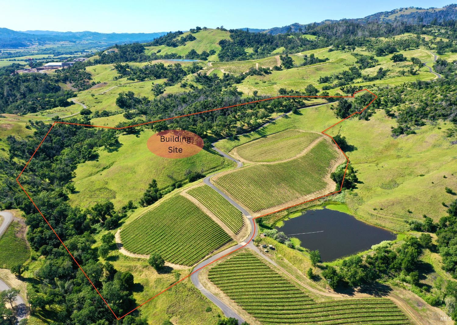 Aerial view of a vineyard property with a pond and outlined building site.