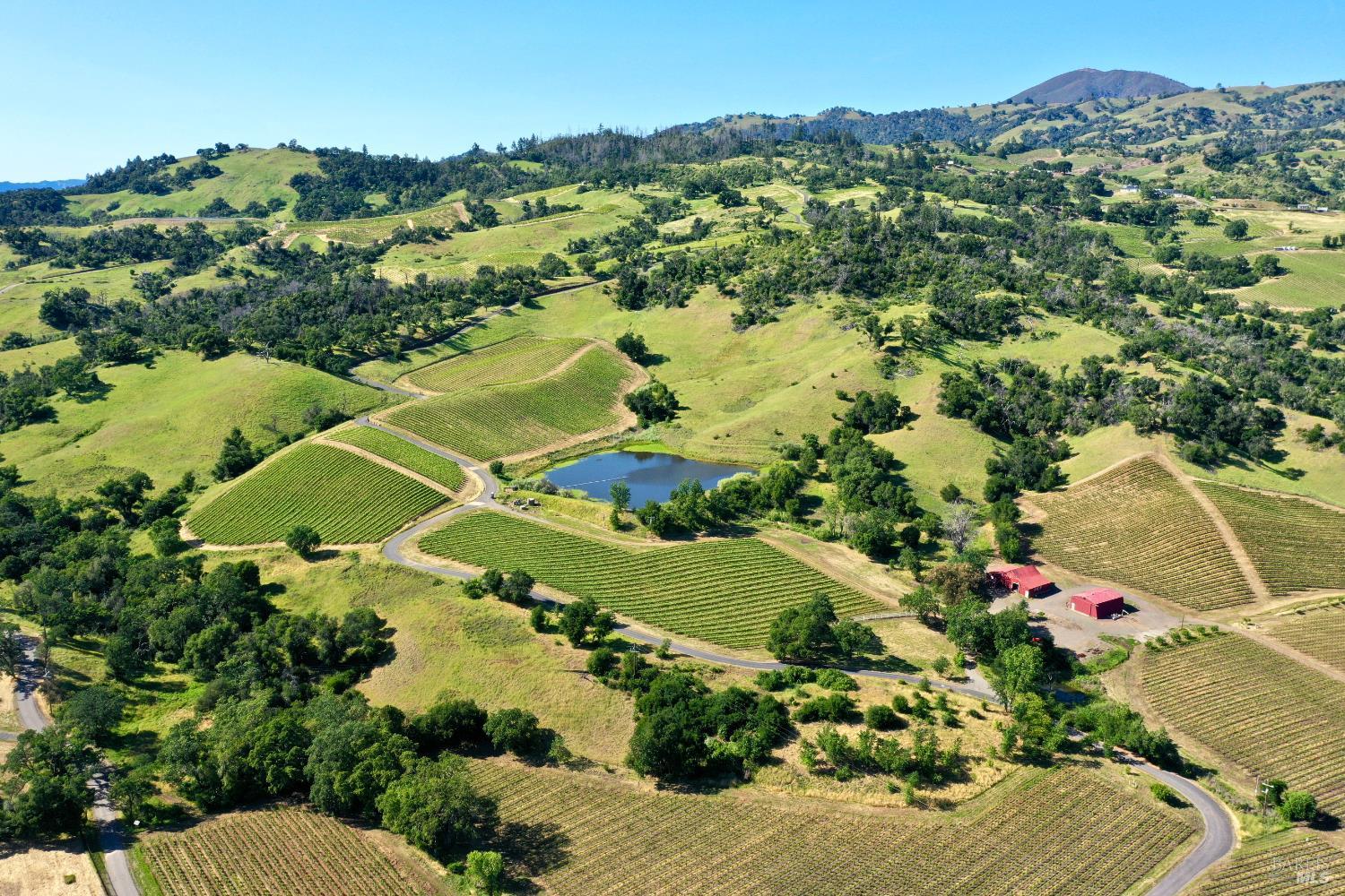 Aerial view of vineyard rows, a pond, and red-roofed outbuildings among rolling green hills.