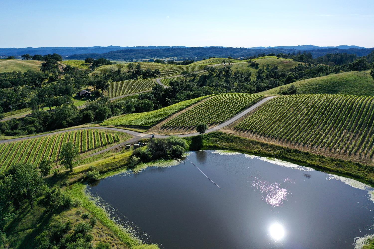 Aerial view of vineyard rows and winding roads surrounding a large pond.