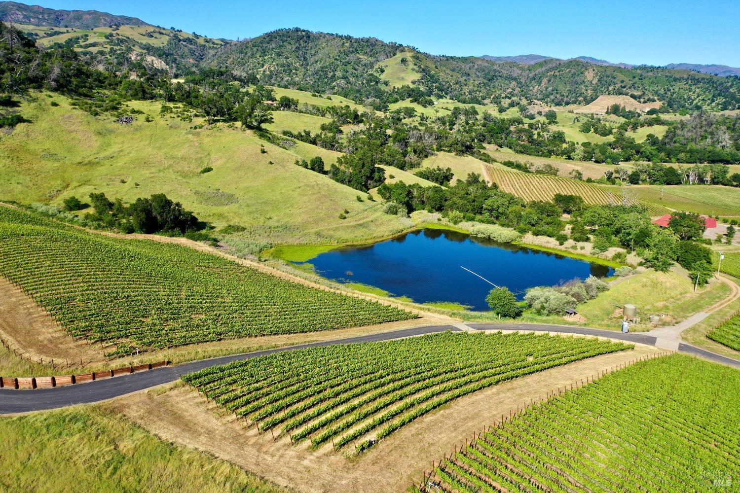 Aerial view of vineyard rows and a pond, with rolling hills and mountains beyond.
