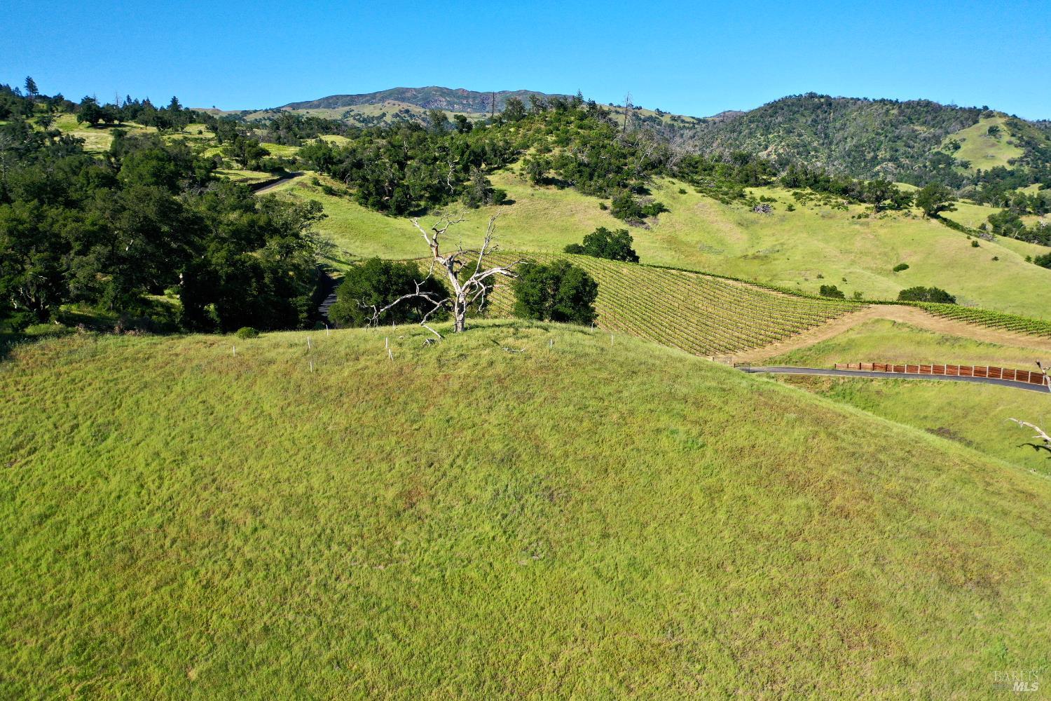 Rolling grassy hills and vineyard rows with a winding road and distant mountain ridges.