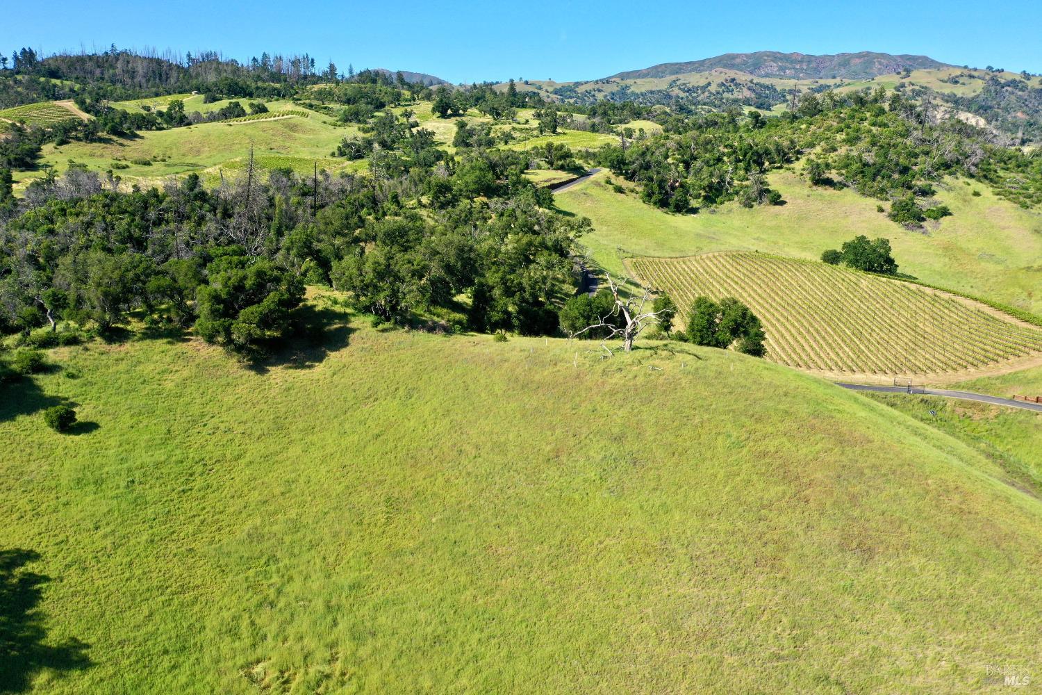 Aerial view of rolling green acreage with vineyard rows and distant mountains.