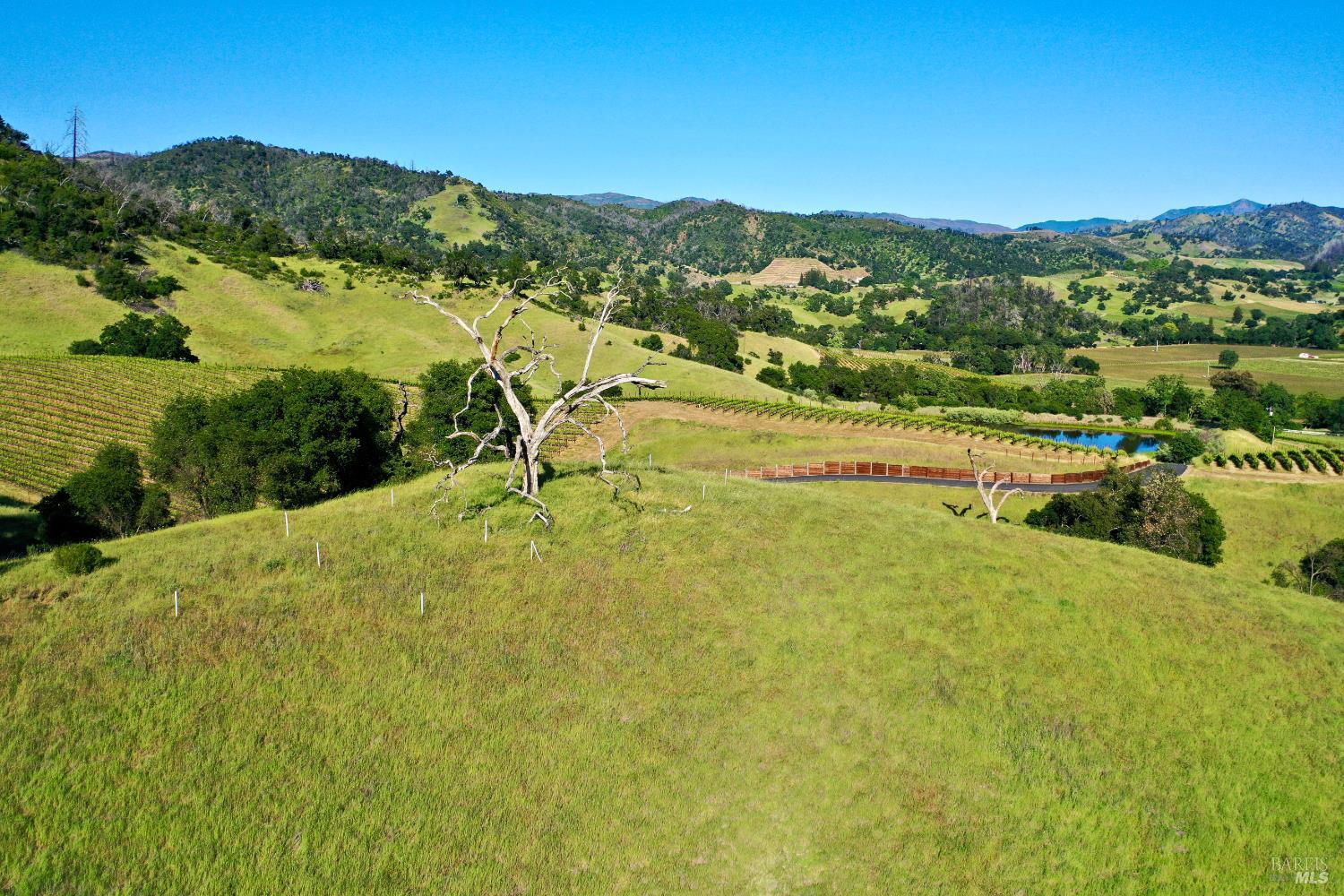 Aerial view of rolling vineyard land with a pond and wooded hills beyond.