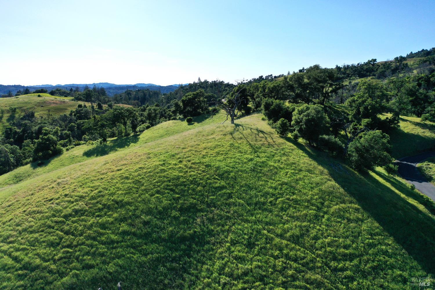 Aerial view of a grassy hillside property with scattered trees and wooded ridgelines in the distance.