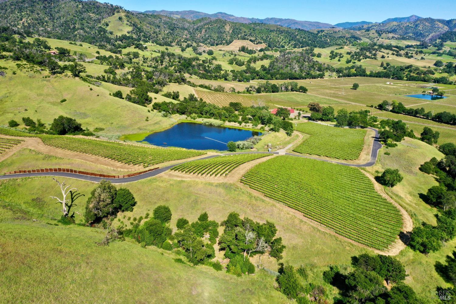 Aerial view of vineyard rows and a pond, with rolling hills and distant mountains.
