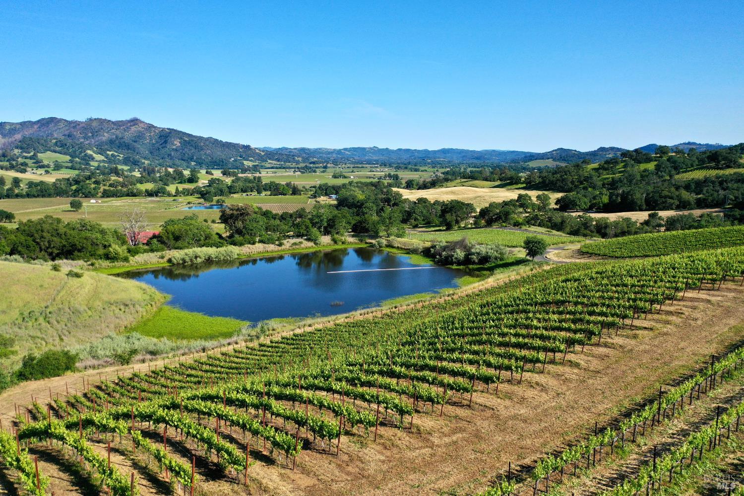 Vineyard rows surround a pond, with rolling hills and farmland beyond.
