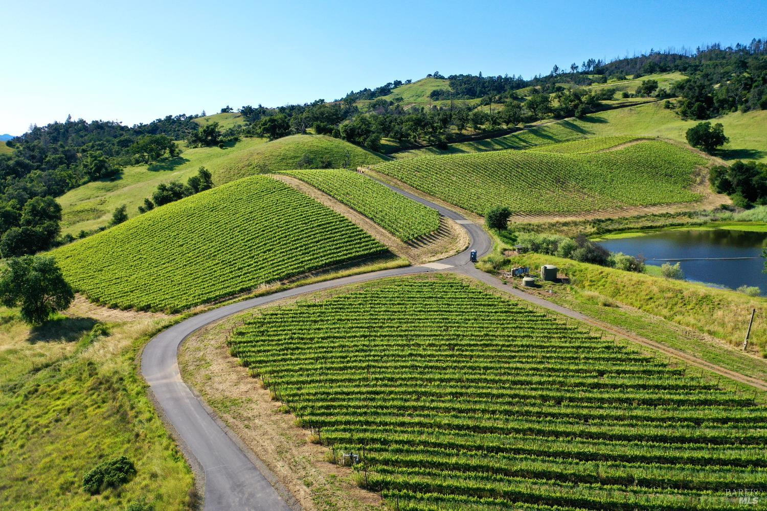 Aerial view of vineyard rows, a winding access road, a pond, and green hills.