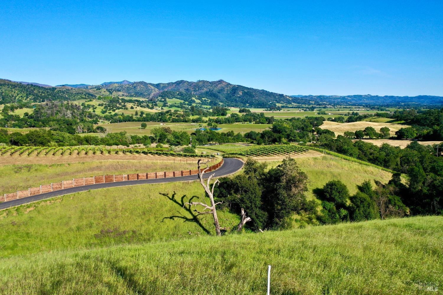Vineyard acreage with a winding paved road and distant mountain views.