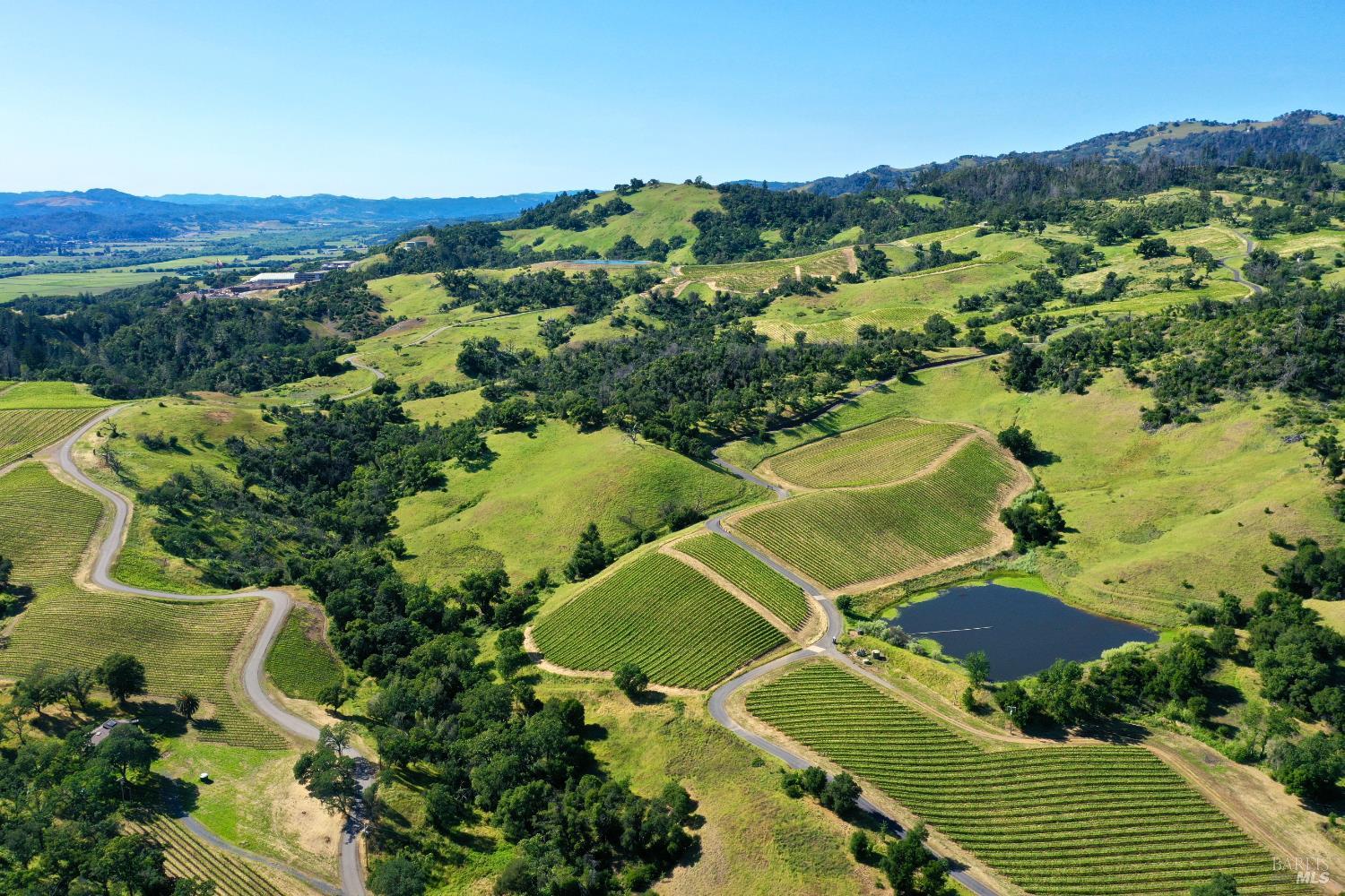 Aerial view of rolling vineyards with winding roads and a pond.