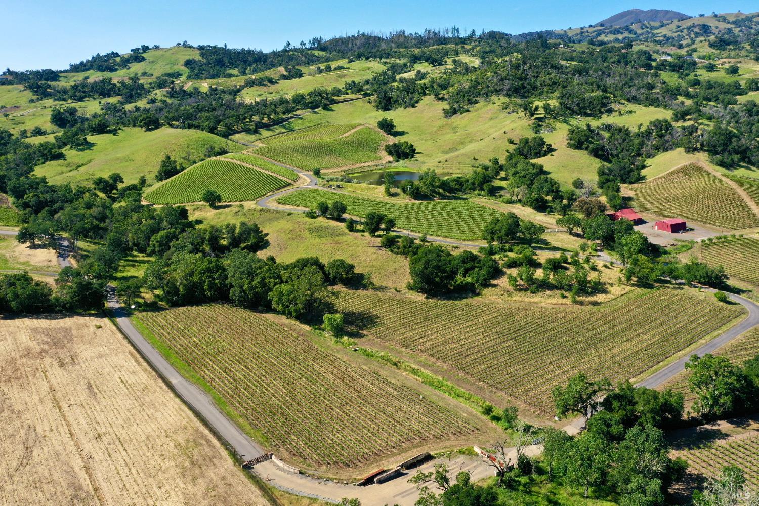 Aerial view of vineyard rows and rolling hills, with a pond and red farm buildings.