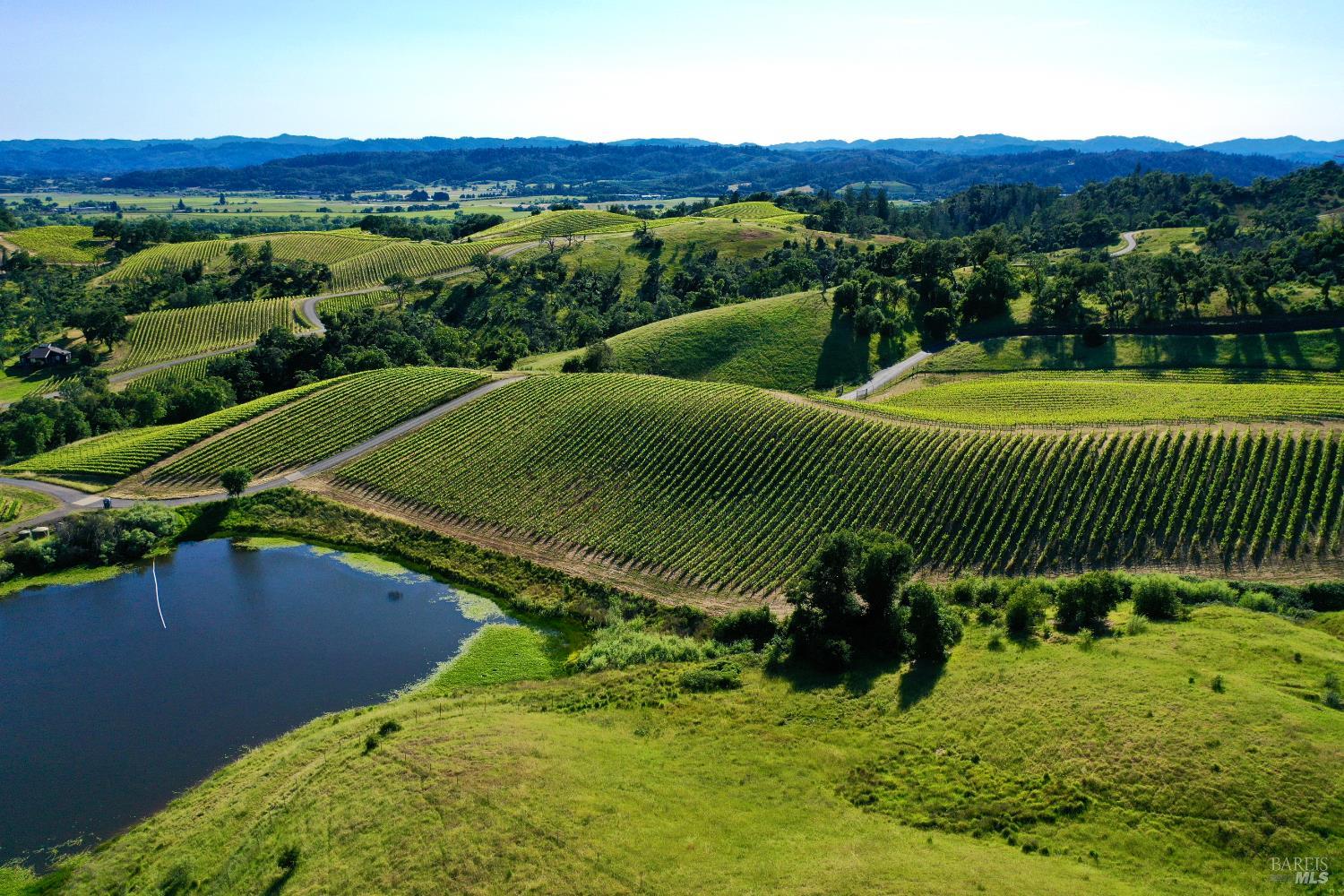 Aerial view of vineyard rows and rolling hills, with a pond in the foreground.