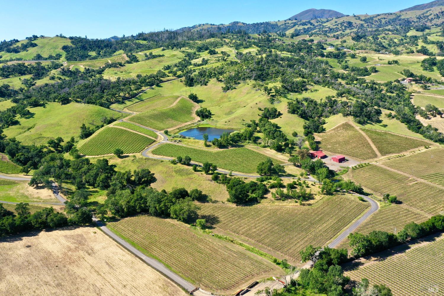 Aerial view of vineyards, a pond, and red-roofed farm buildings among rolling hills.