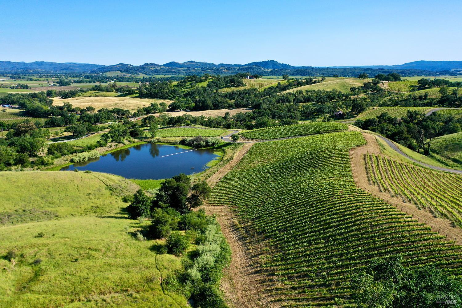 Aerial view of vineyard rows and a pond, with rolling hills in the distance.