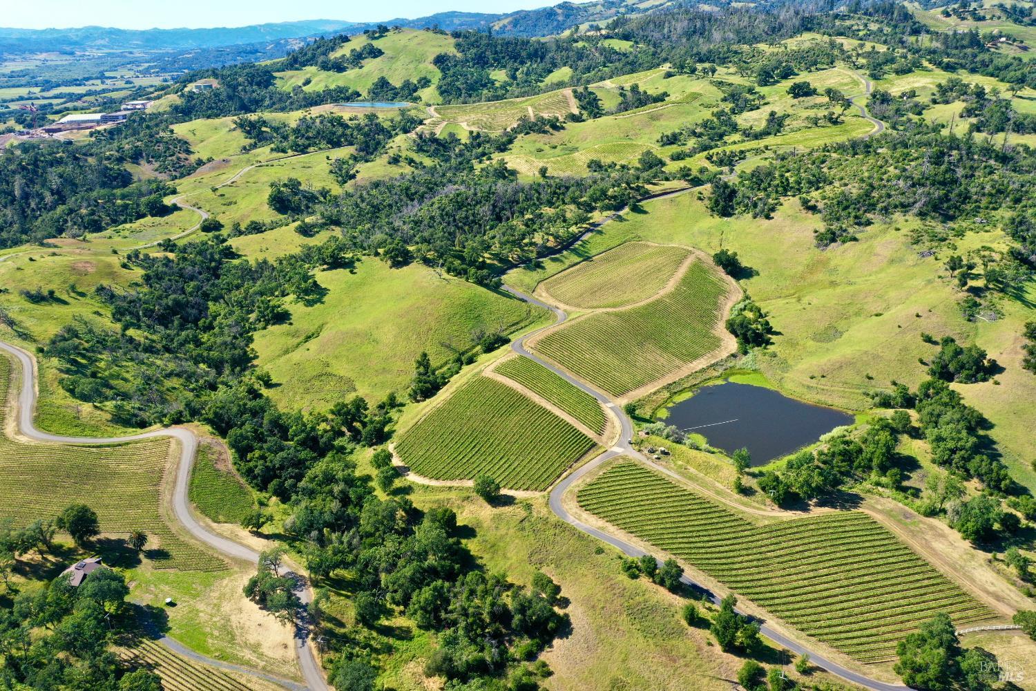 Aerial vineyard with winding roads and a pond among rolling green hills.