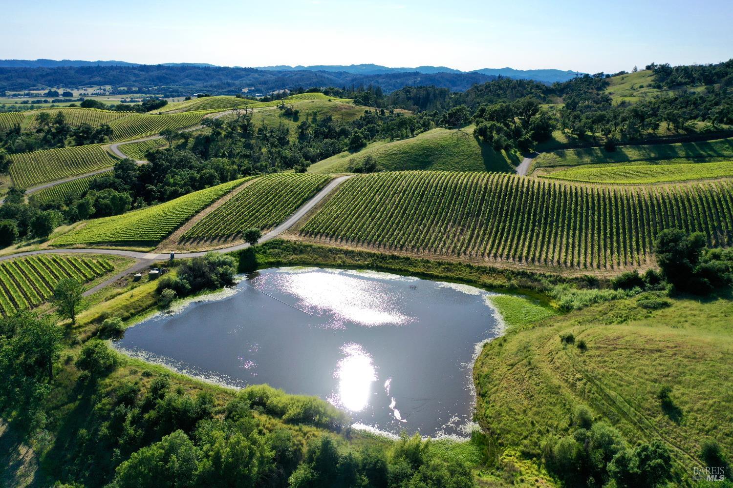 Vineyard rows and rolling hills surround a reflective pond.