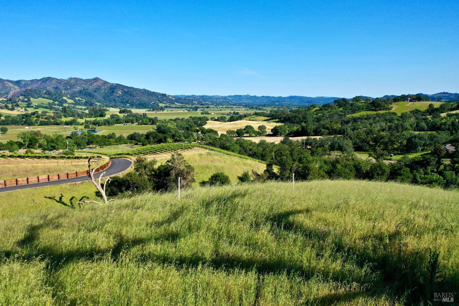 Panoramic property view across vineyard rows and grassy hills to a broad valley.