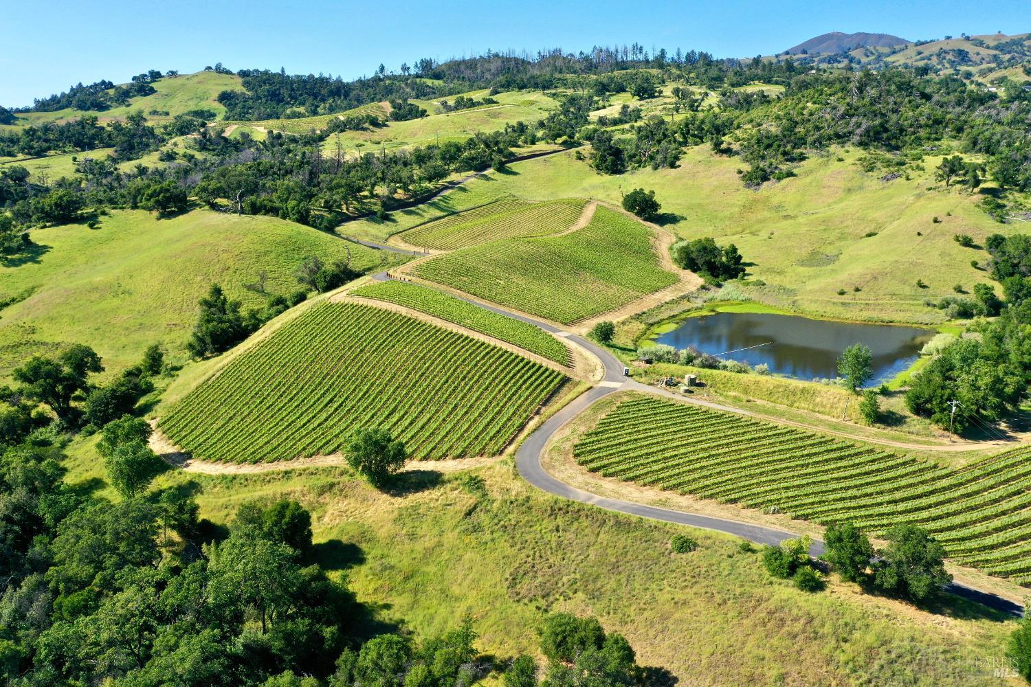 Aerial vineyard with neat vine rows, a winding lane, and a pond among rolling green hills.