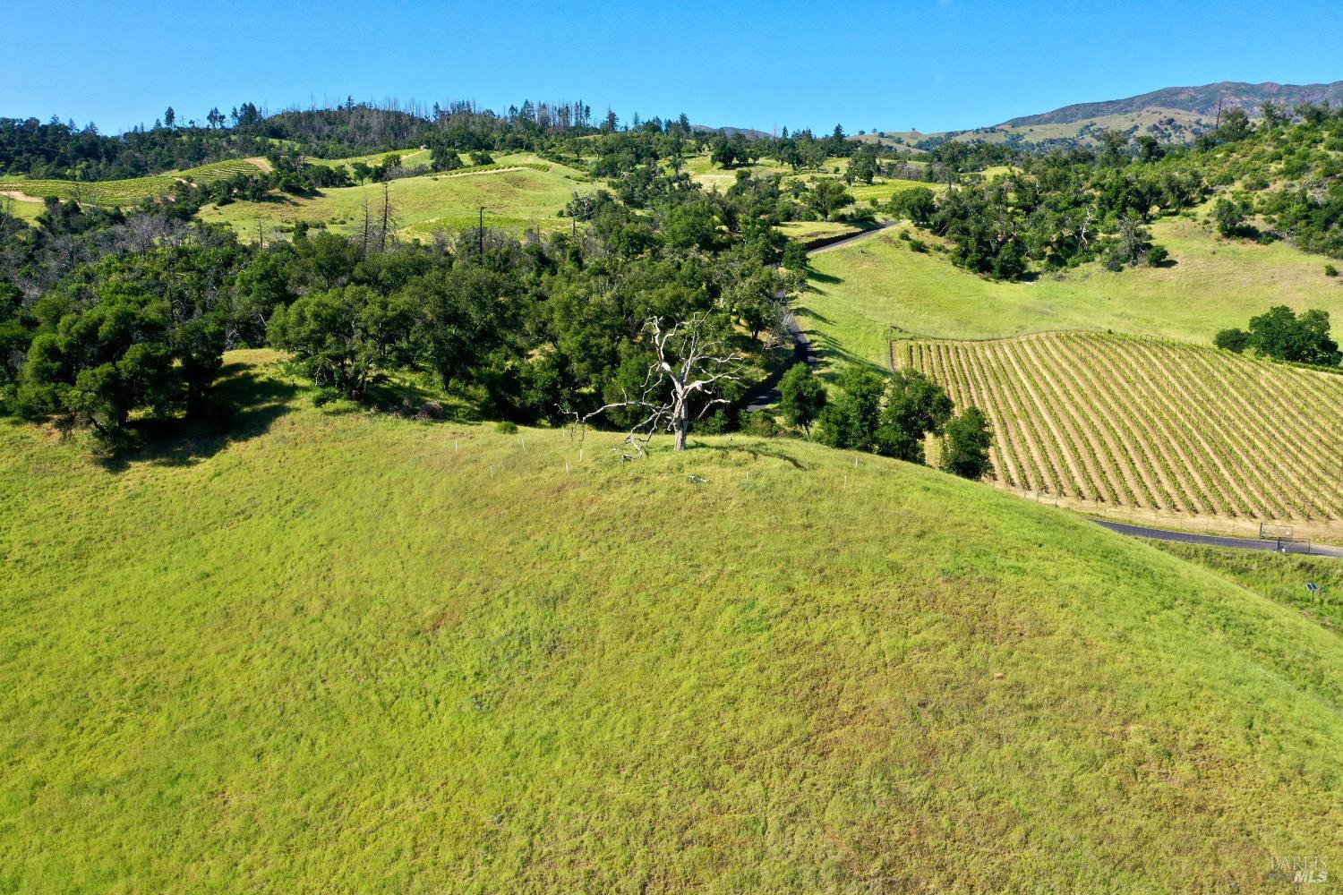 Aerial view of rolling green hills and vineyard rows, with wooded slopes and a winding road.