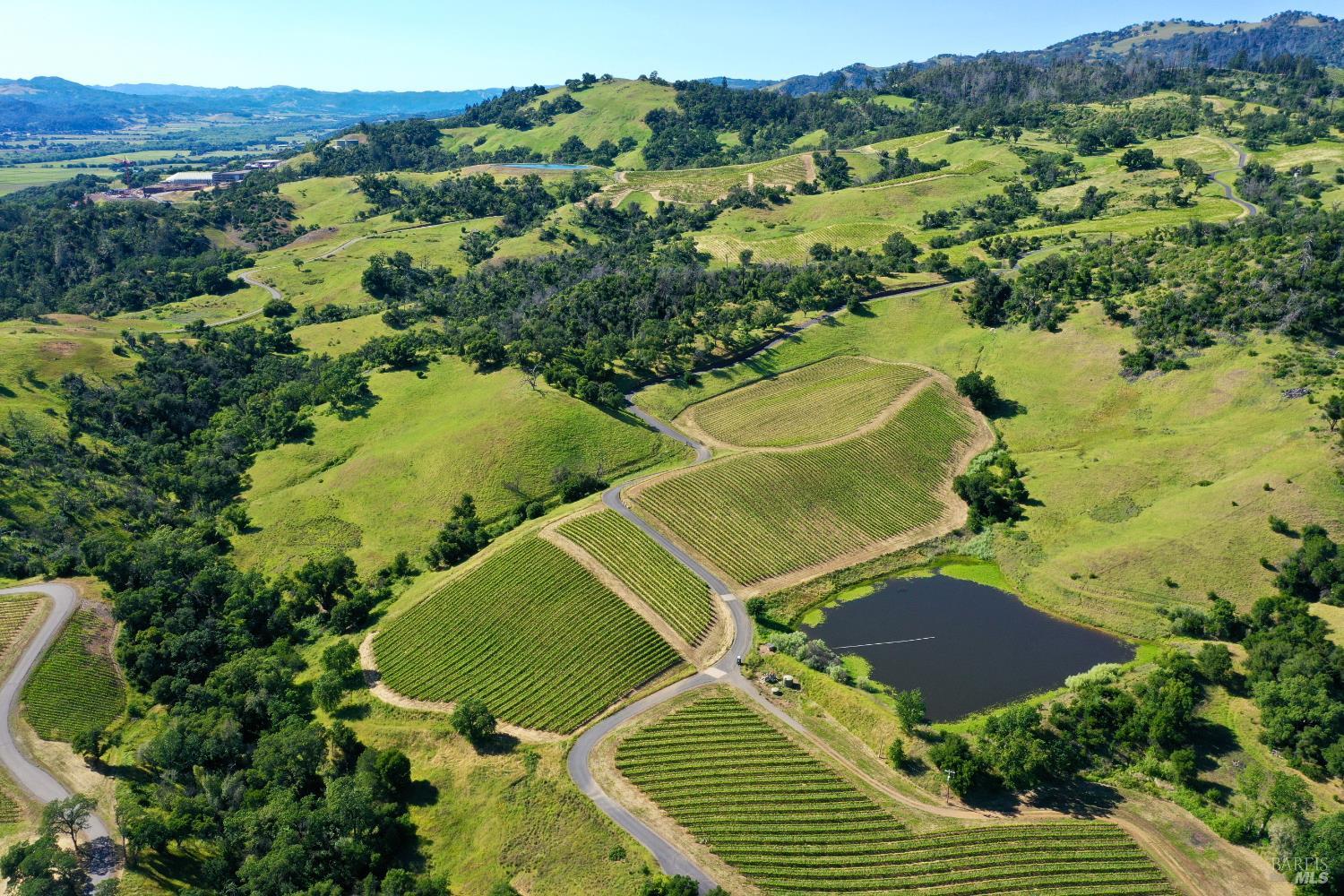 Aerial view of vineyard rows across rolling green hills beside a pond.