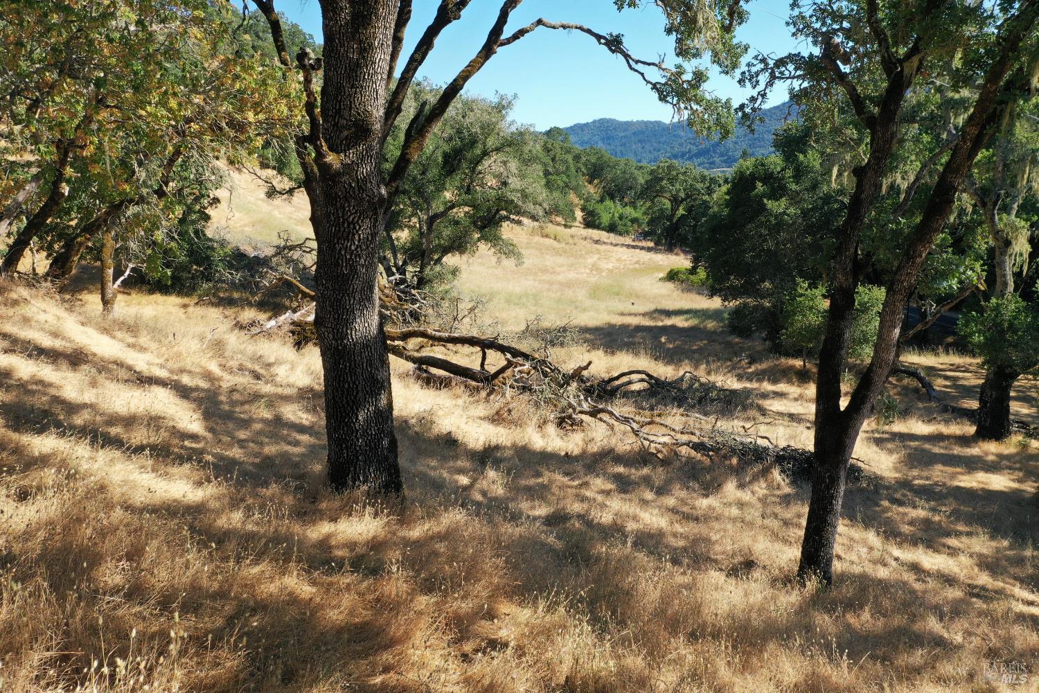 2100 Warm Springs Road