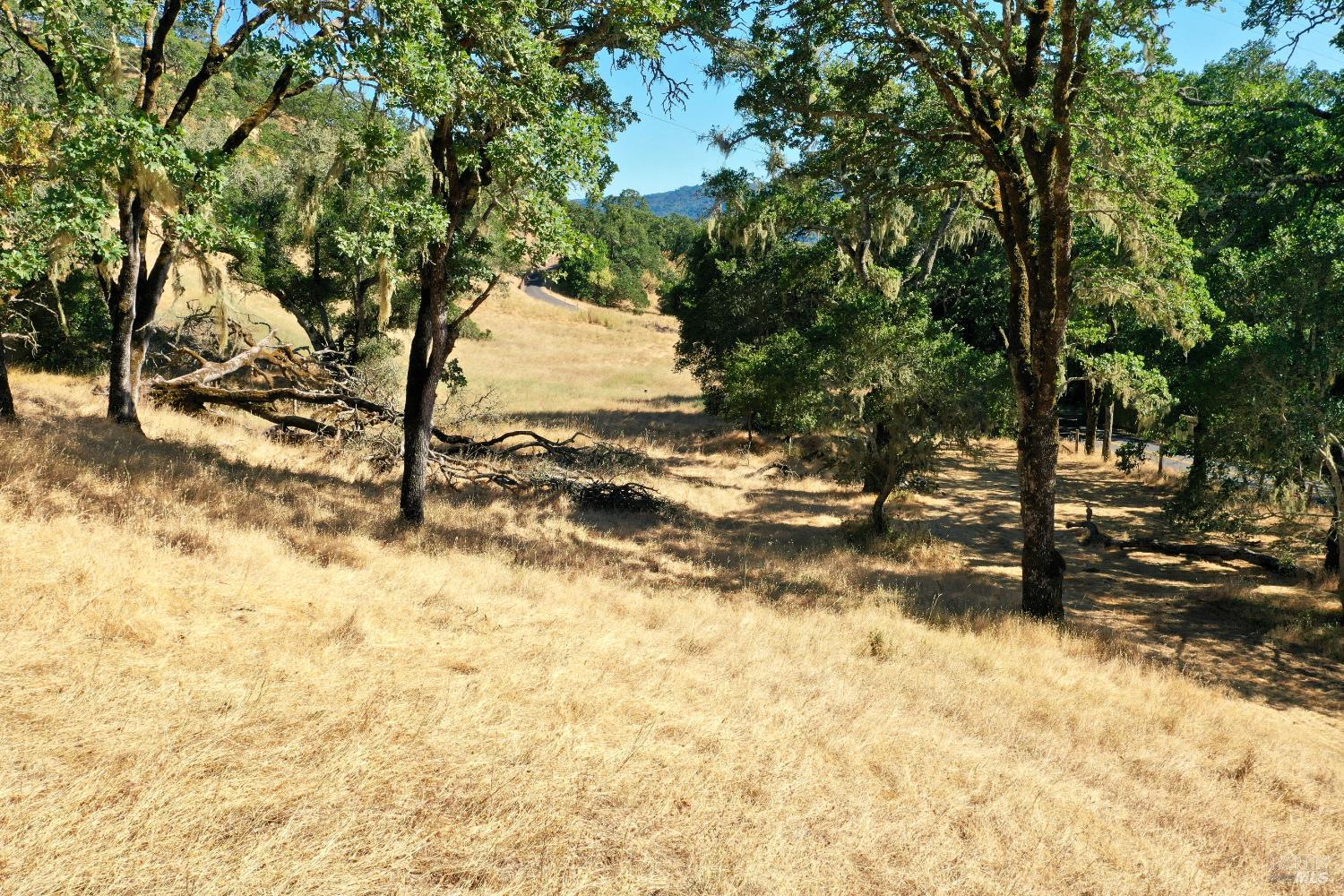 2100 Warm Springs Road