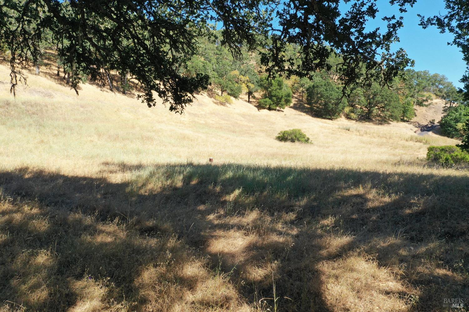 2100 Warm Springs Road