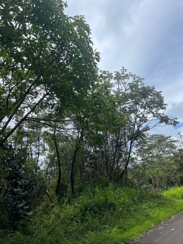 Kahoolawe Rd