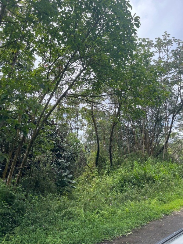 Kahoolawe Rd