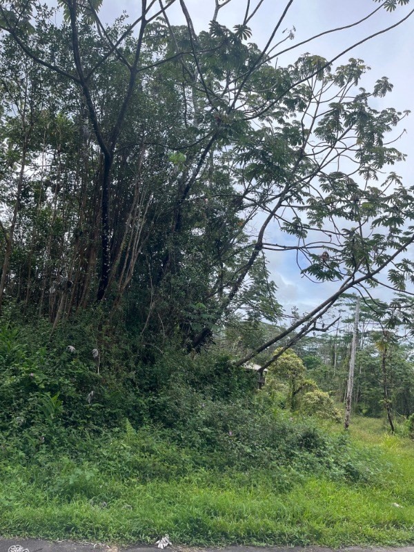 Kahoolawe Rd