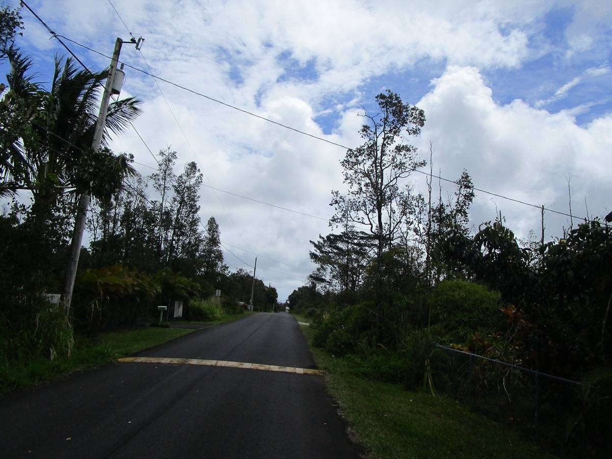 MACADAMIA DR