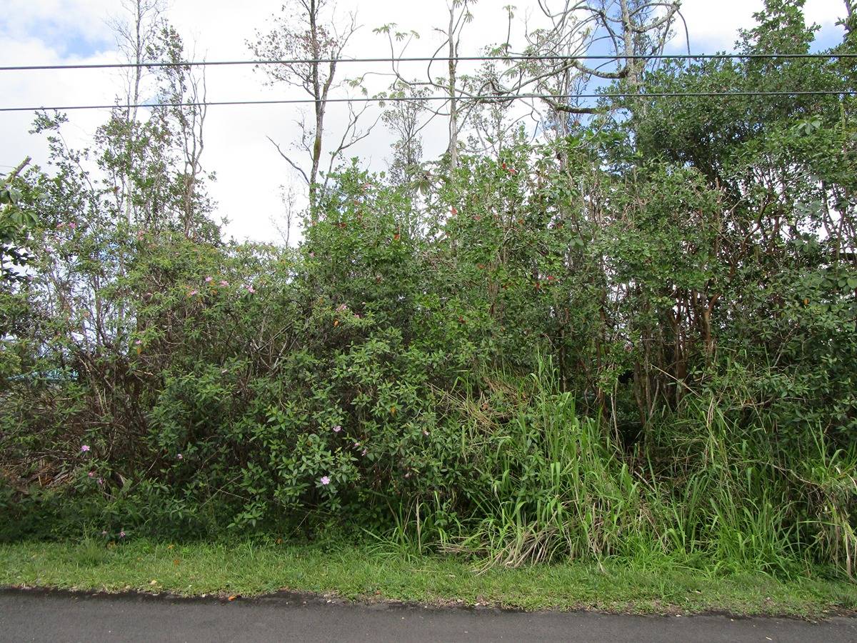 MACADAMIA DR