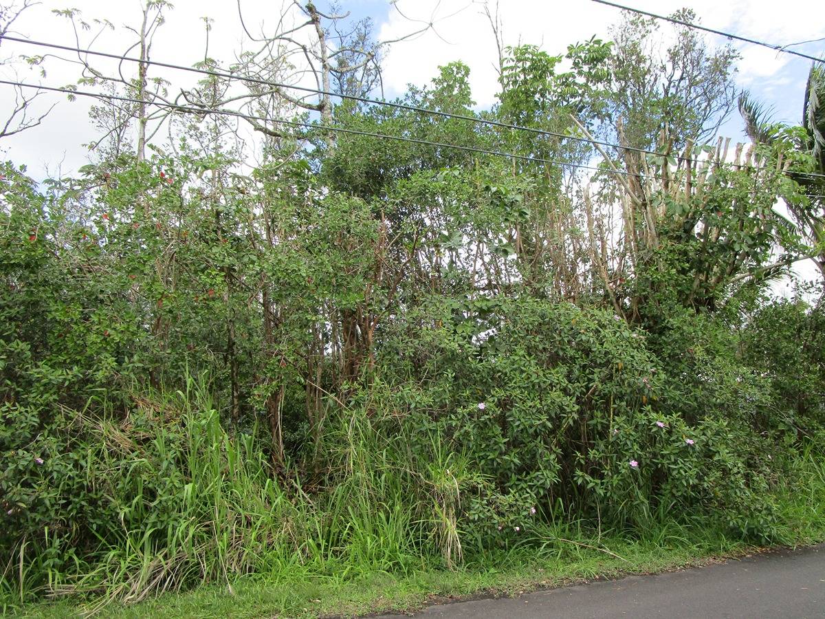 MACADAMIA DR