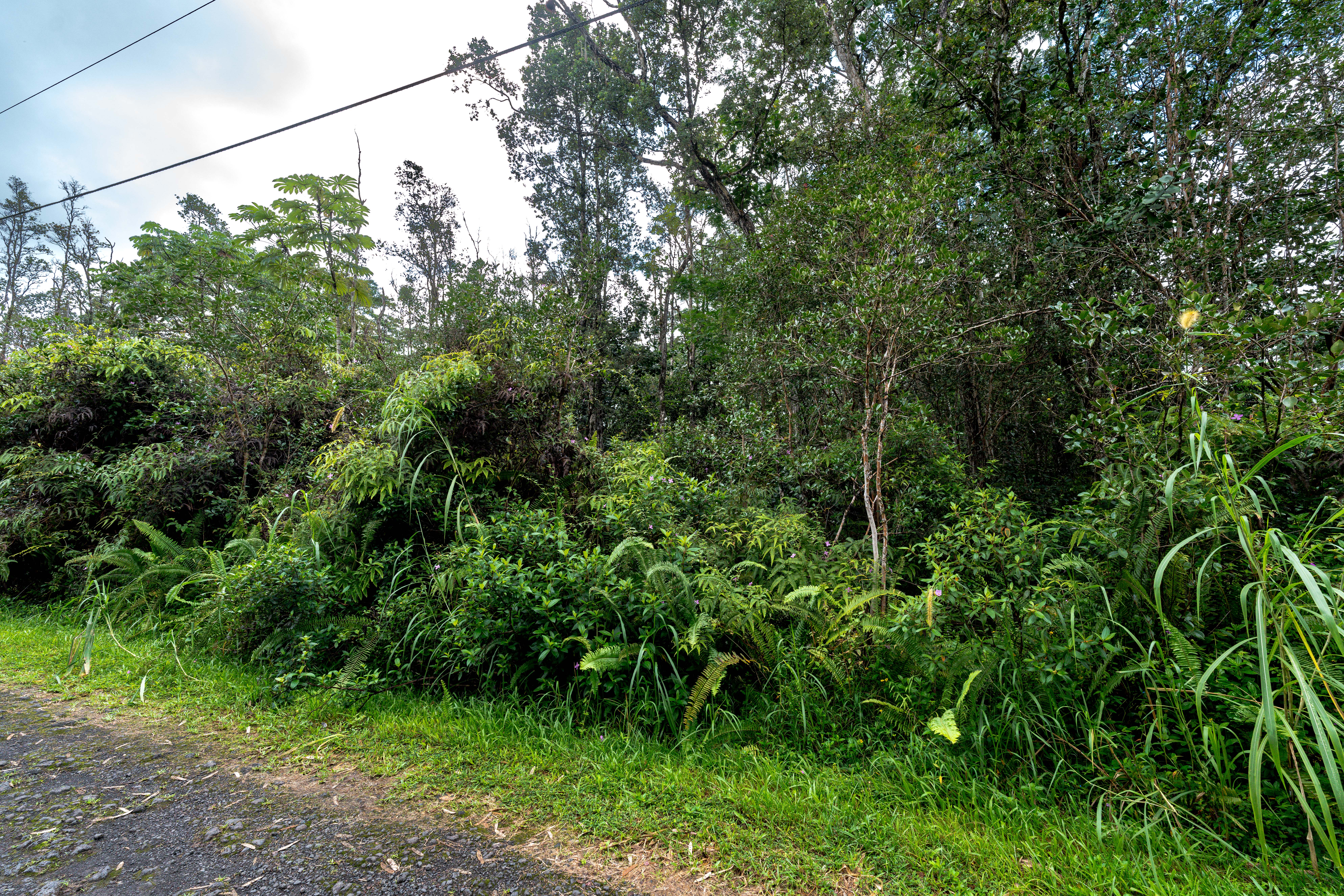 LEHUA RD