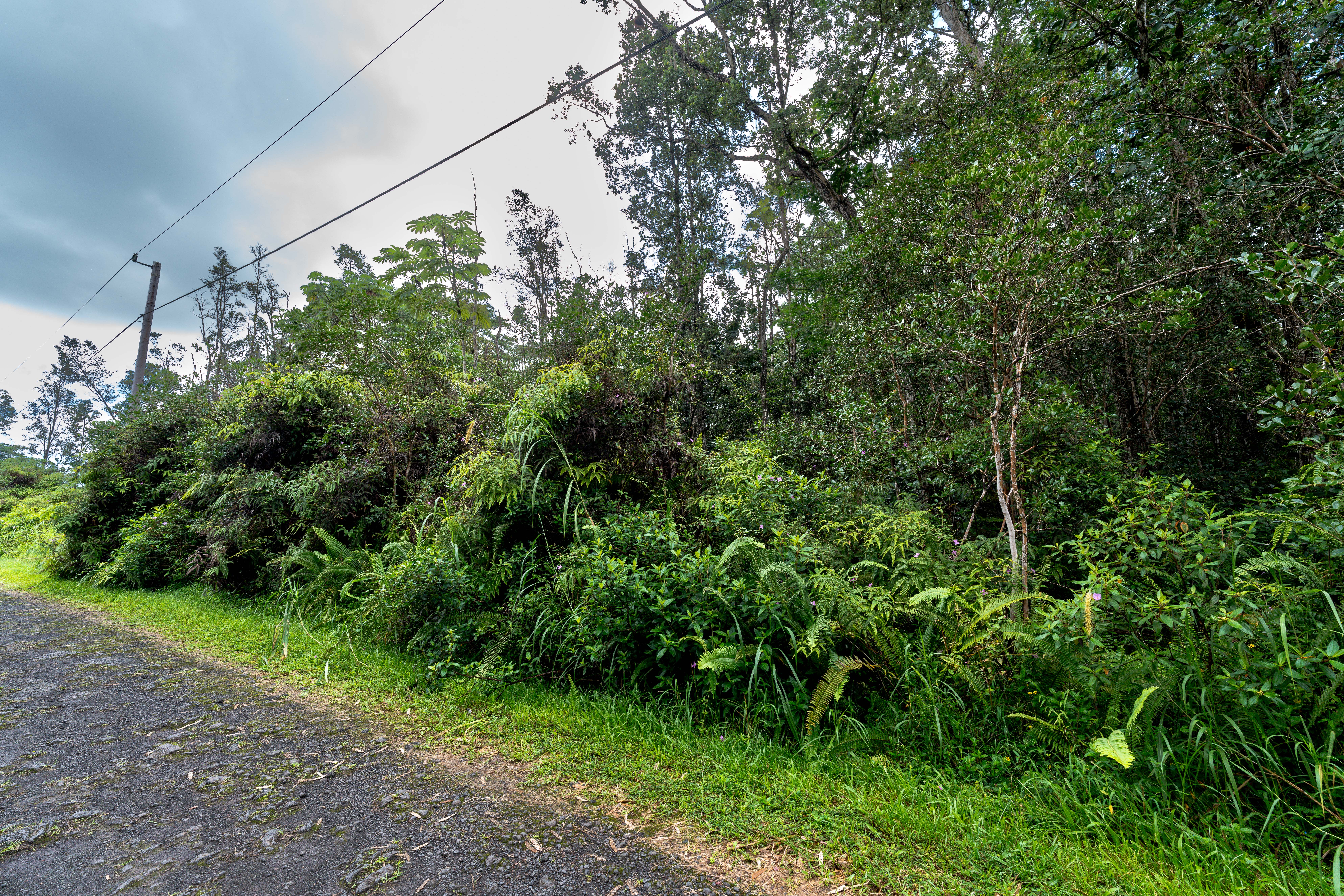 LEHUA RD