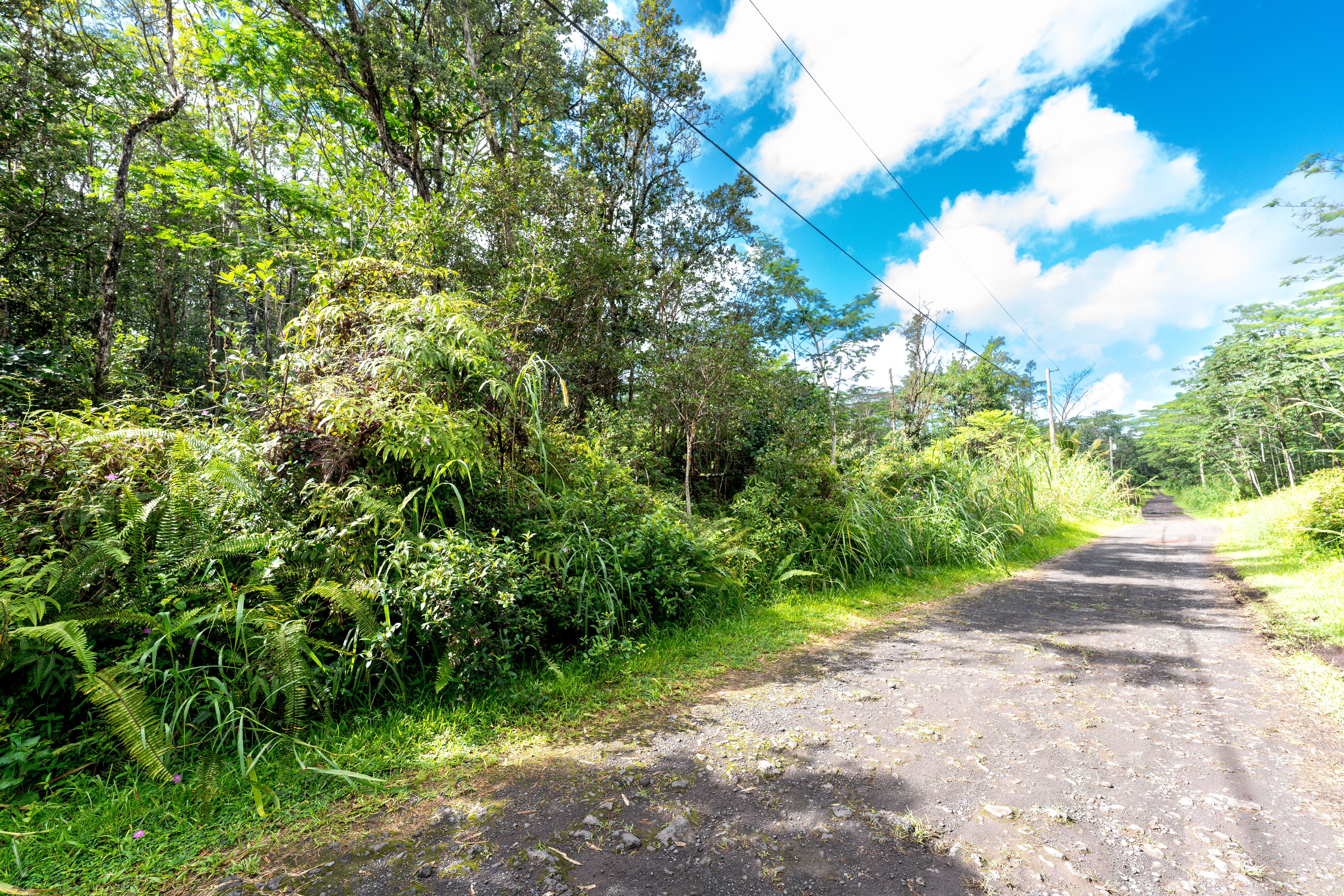 LEHUA RD