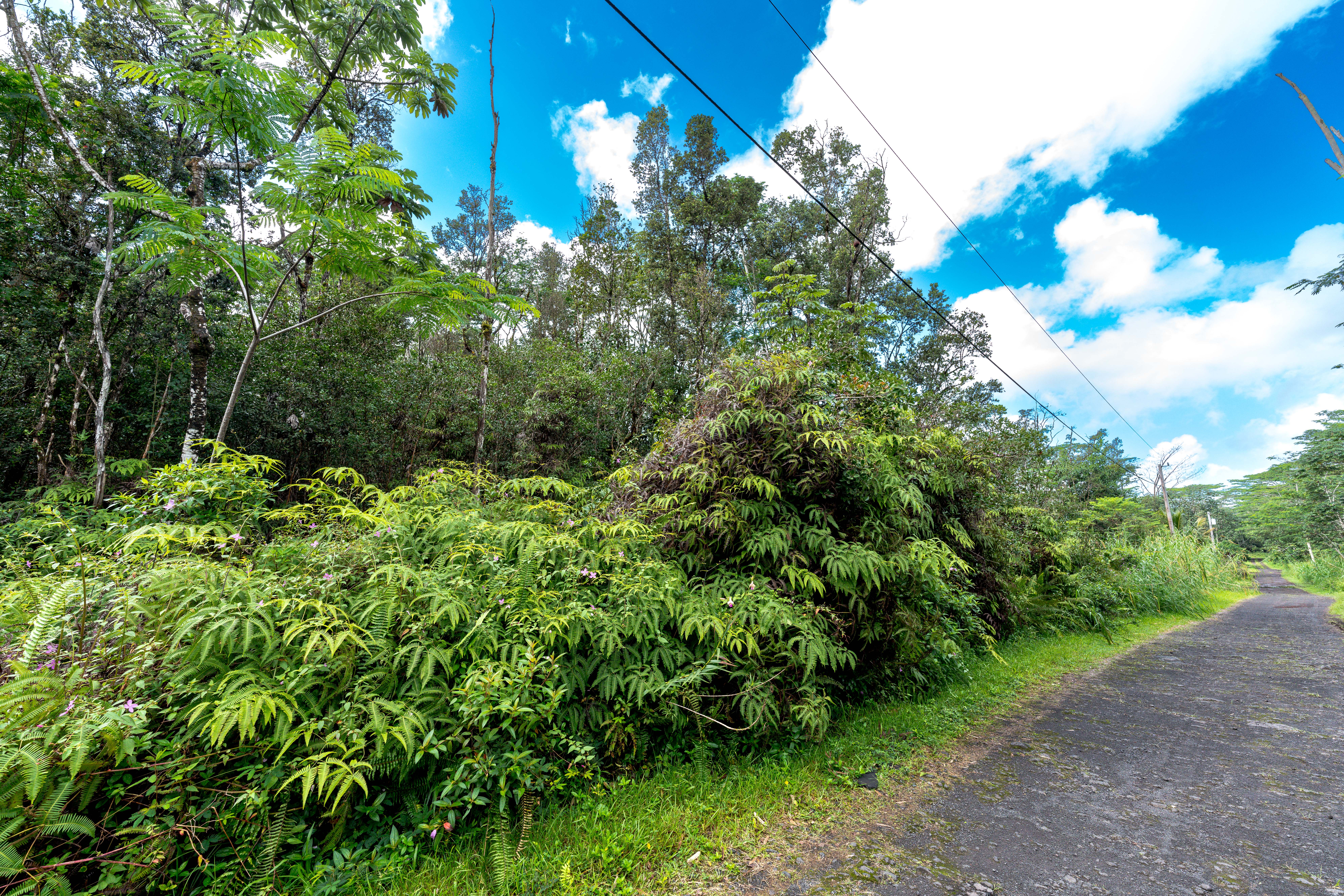 LEHUA RD