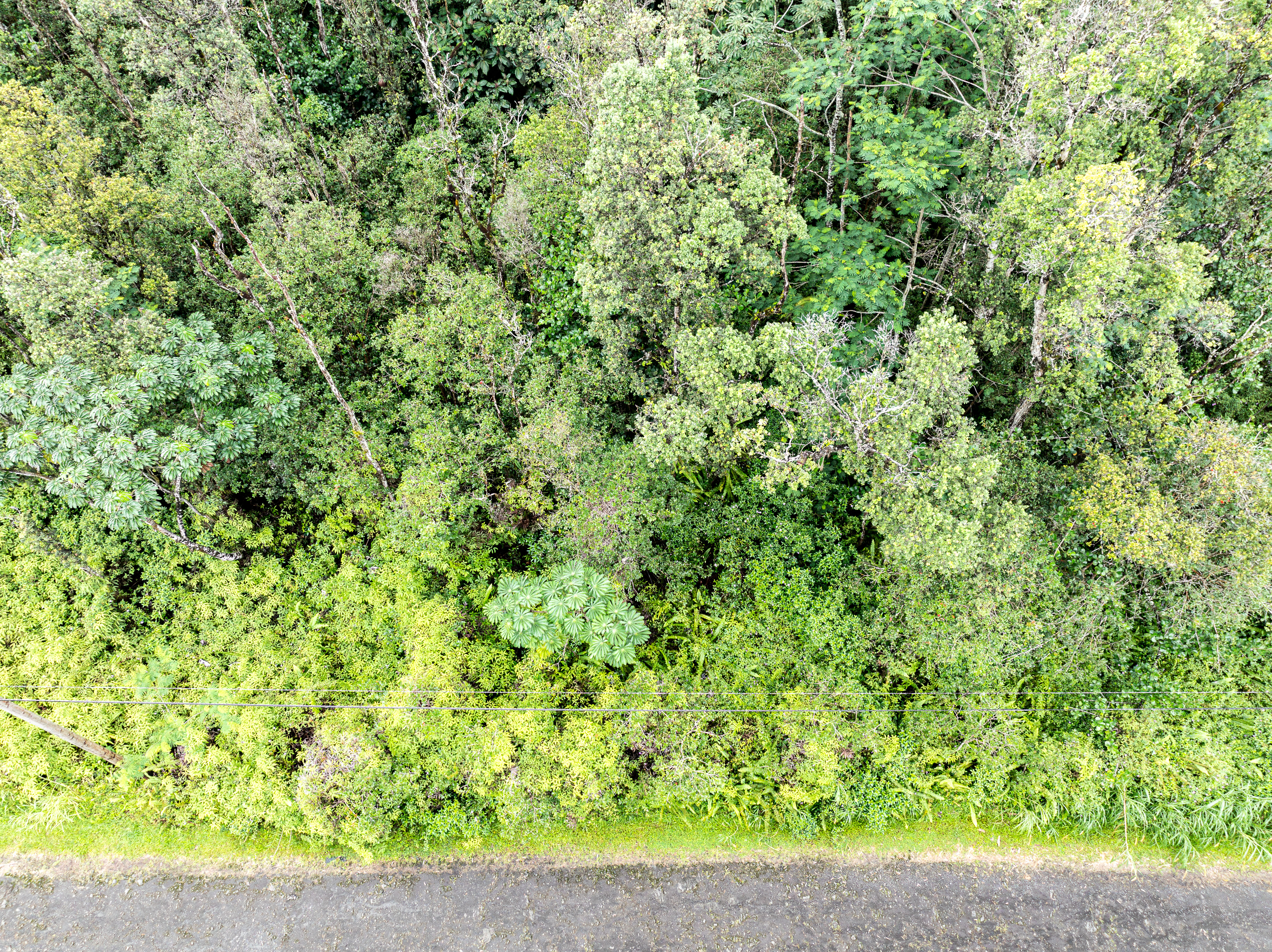 LEHUA RD