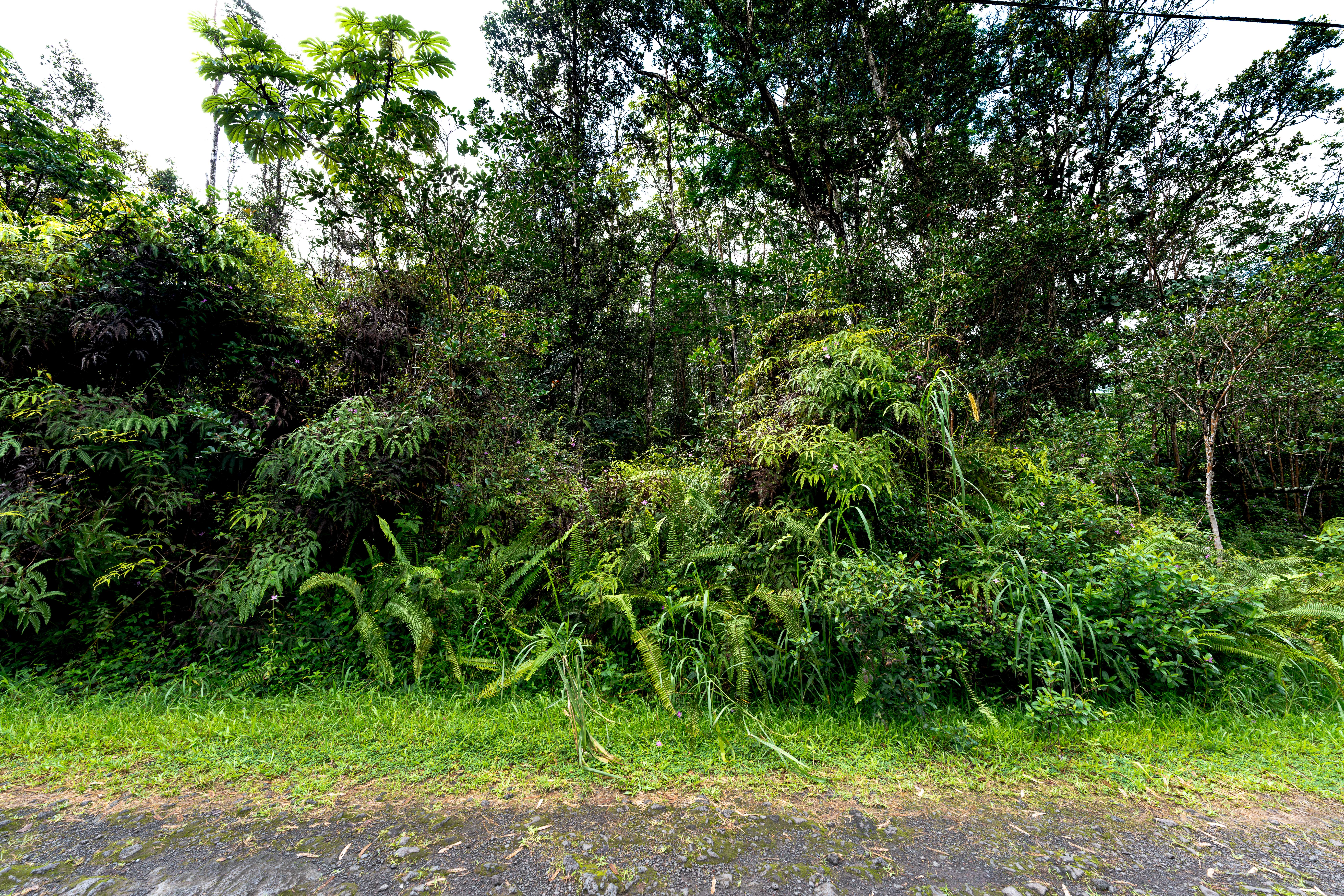 LEHUA RD