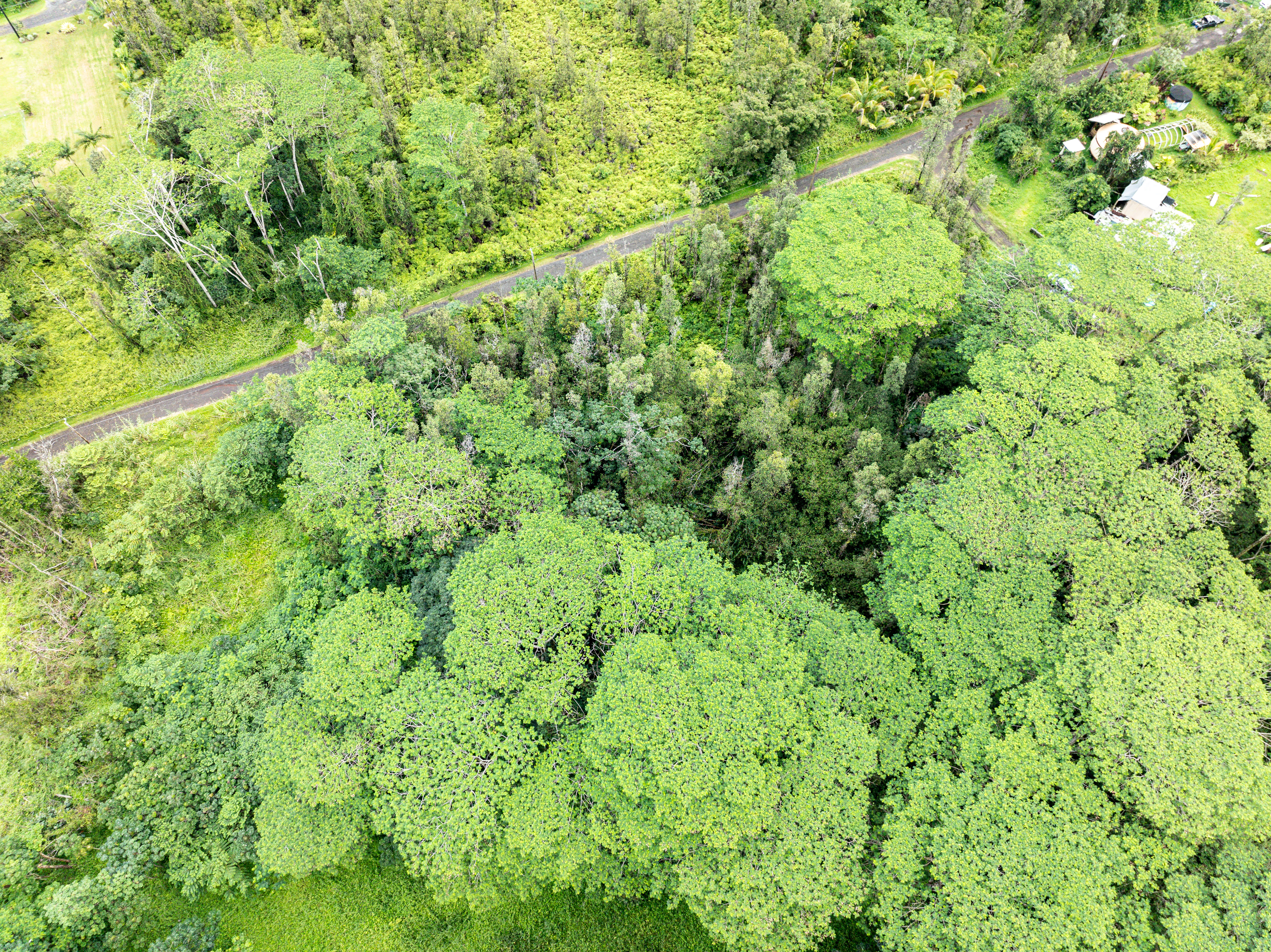 LEHUA RD