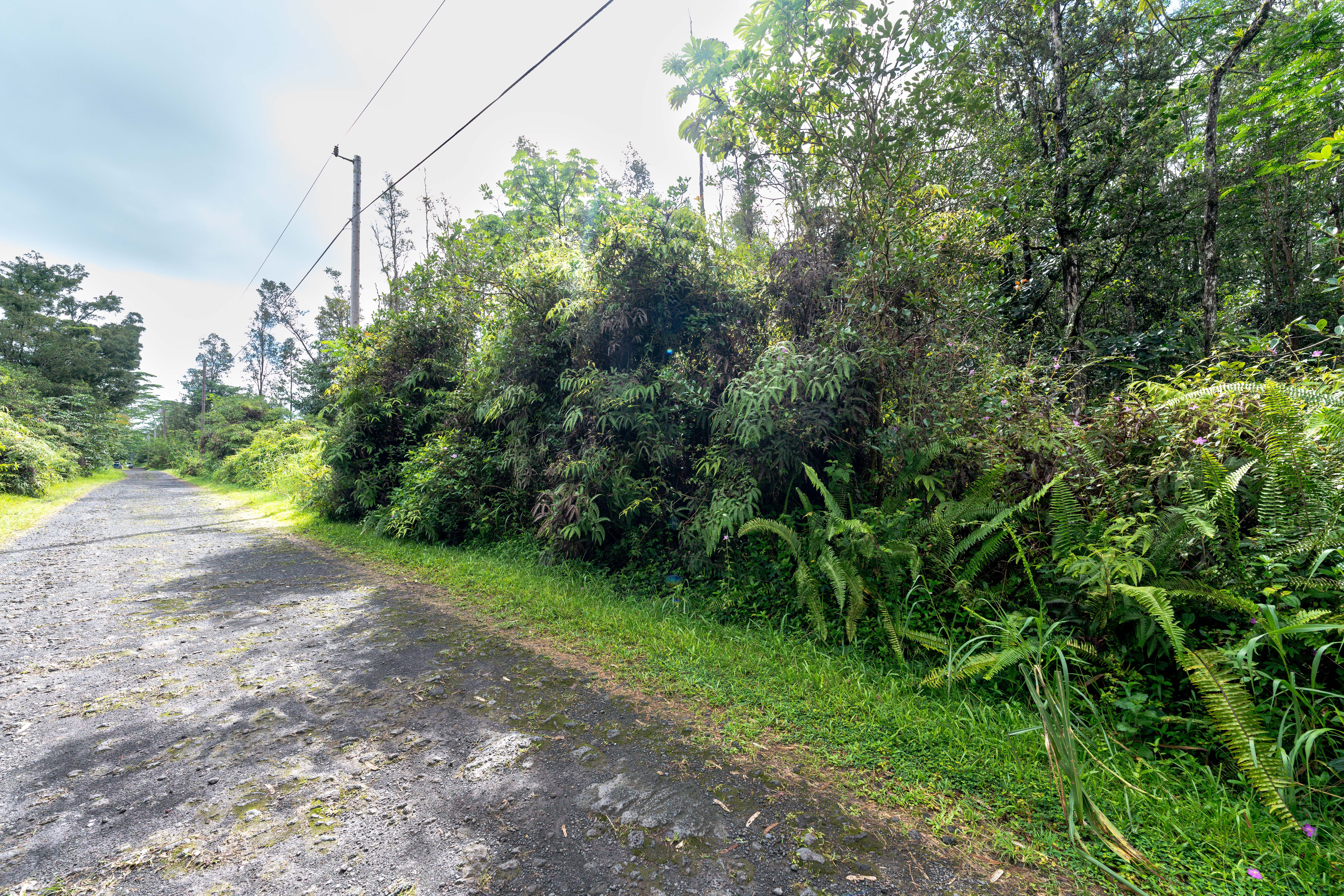 LEHUA RD