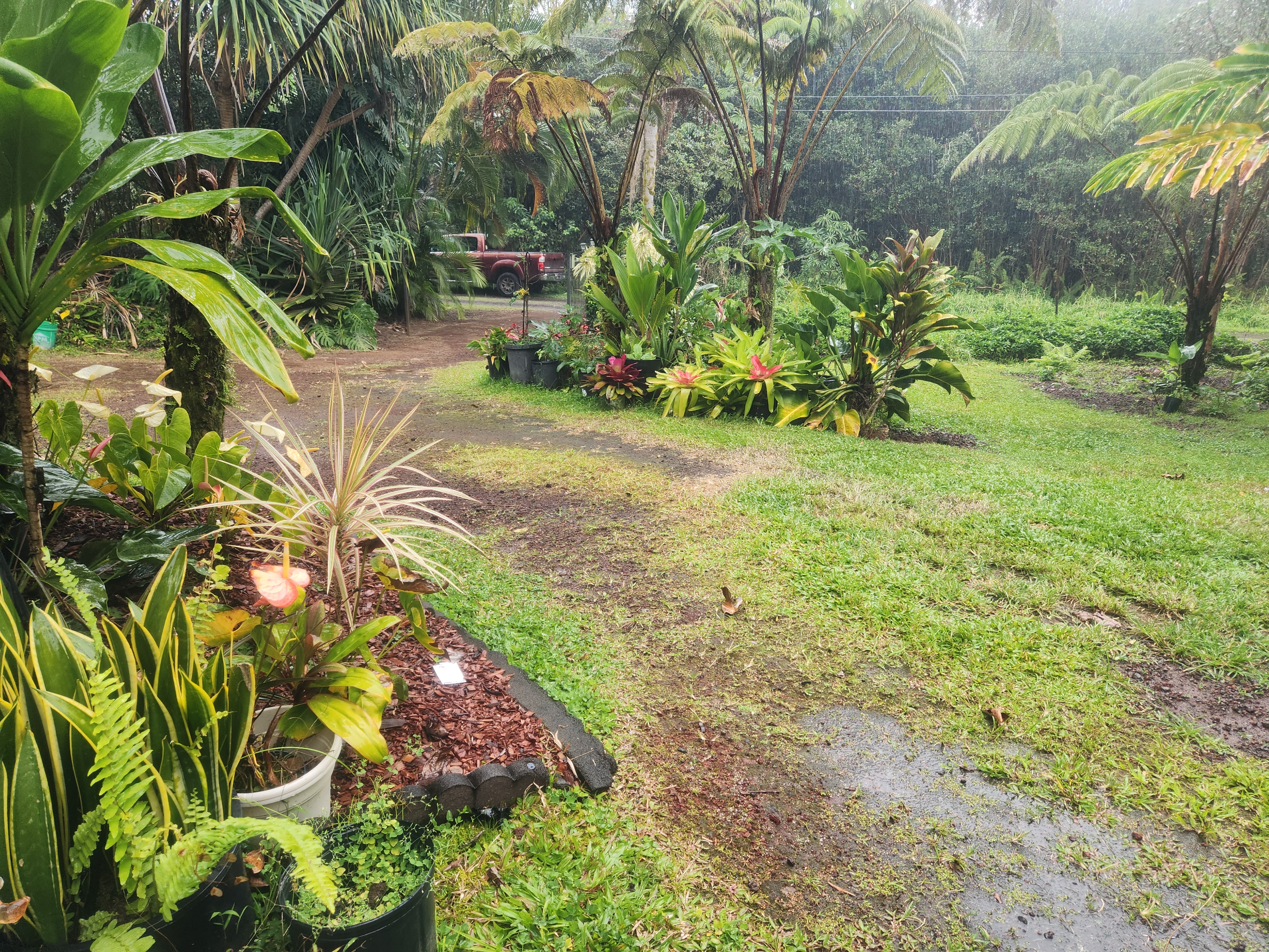 16-2126 SUGARCANE LN