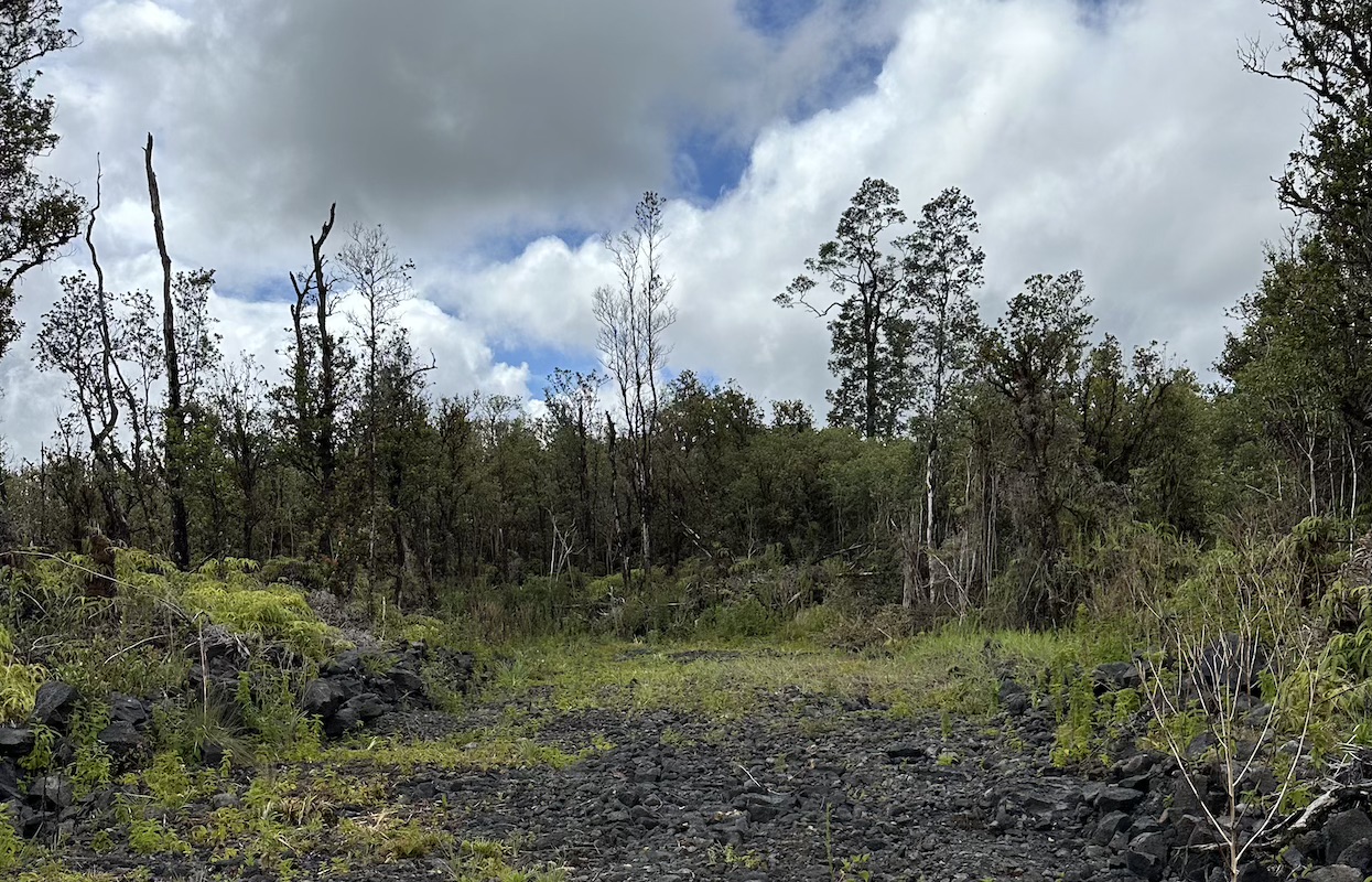 MAHINA ST