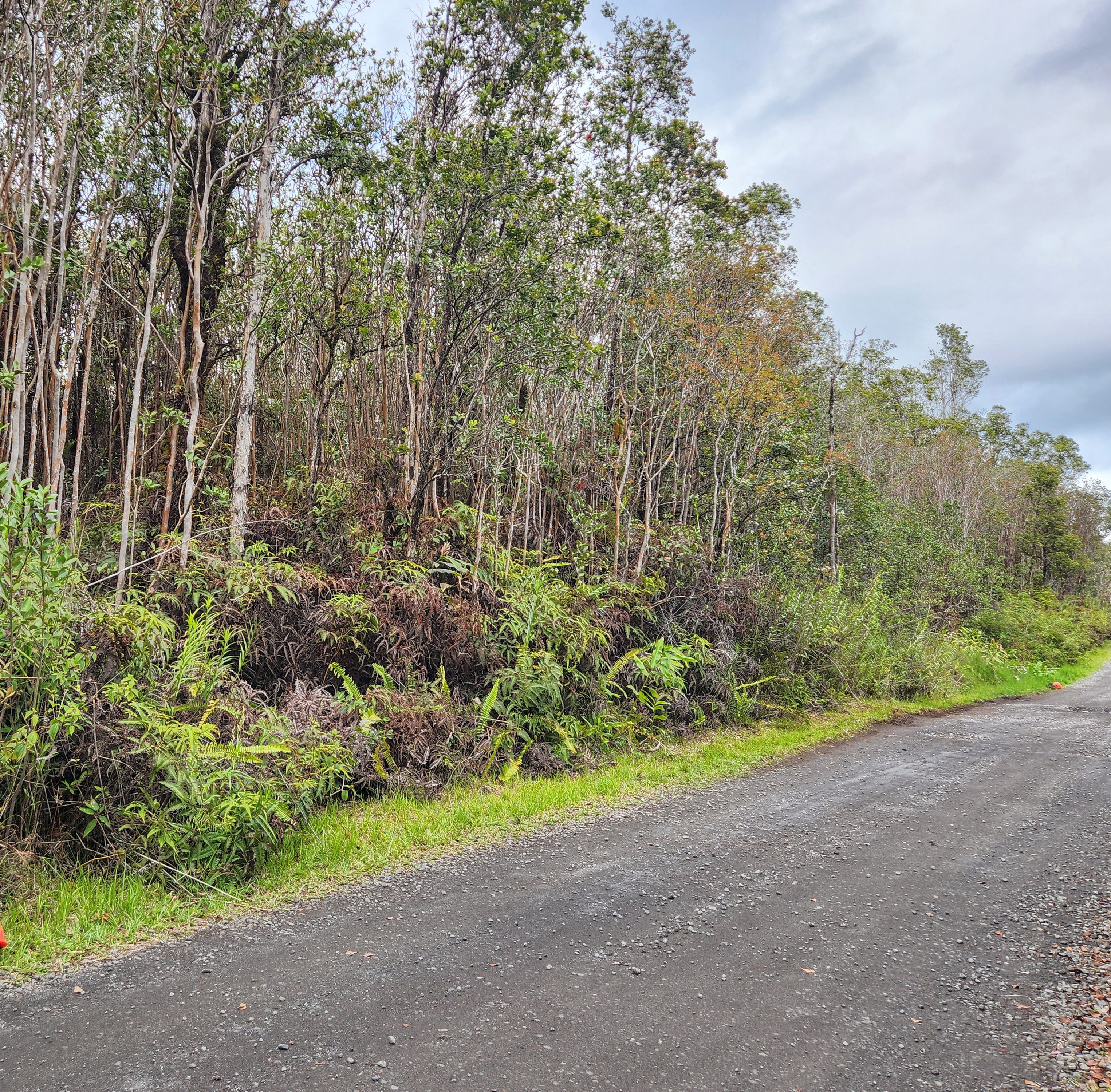 MAKOA RD