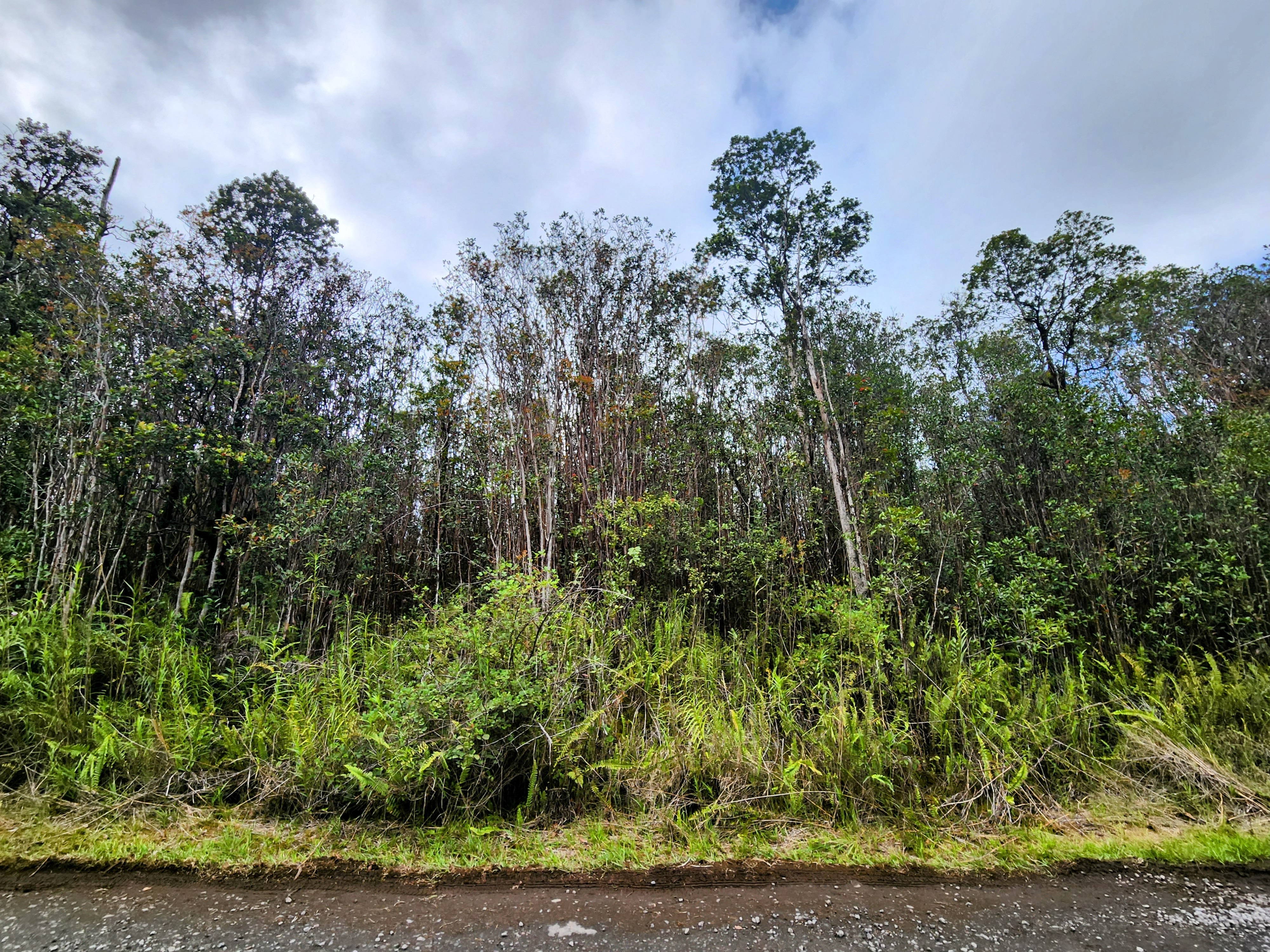 MAKOA RD