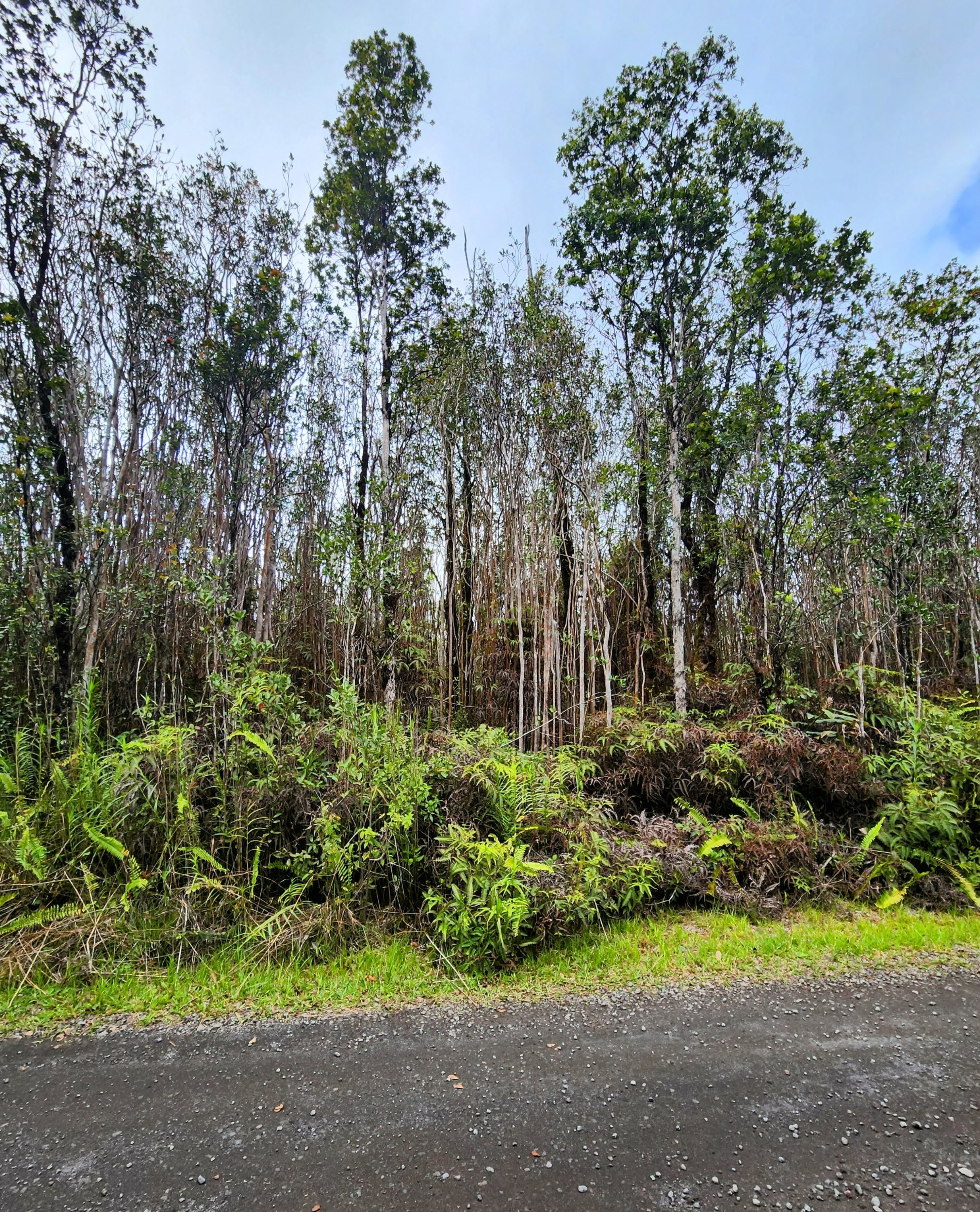 MAKOA RD