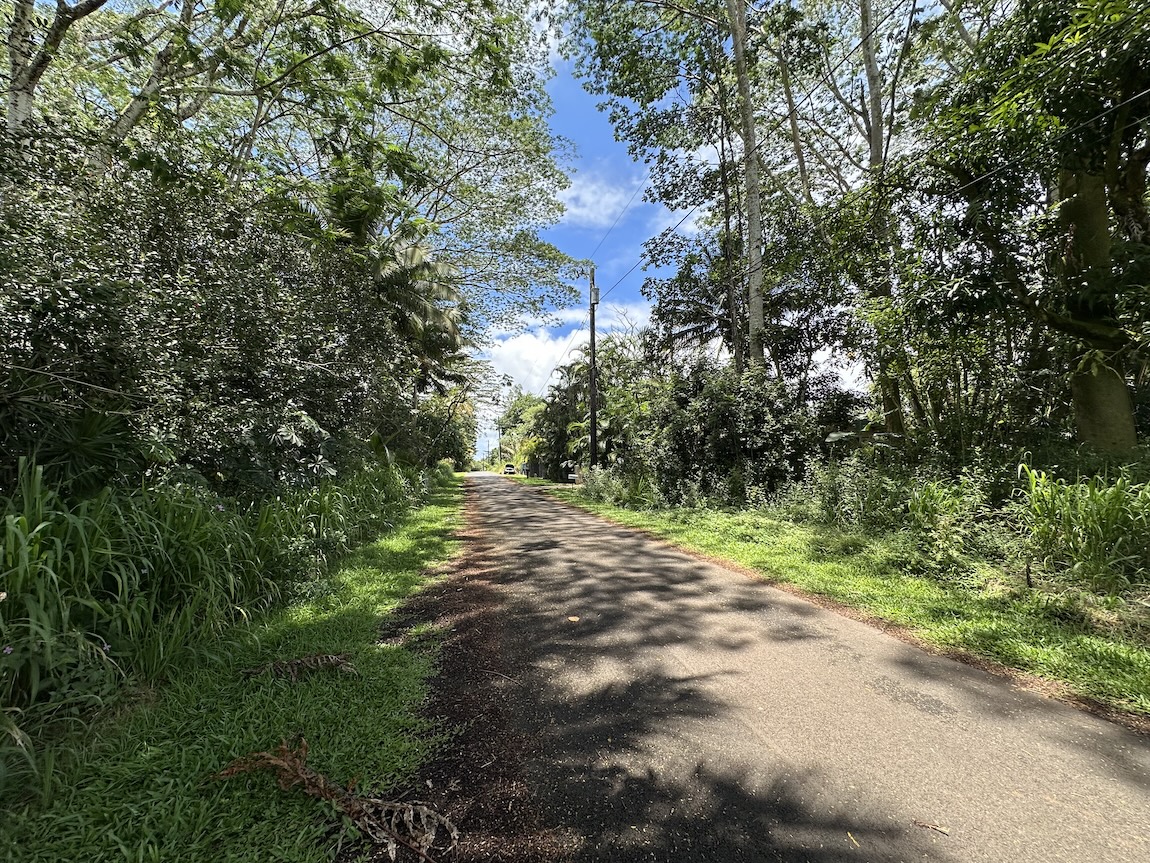 HEEPALI ST