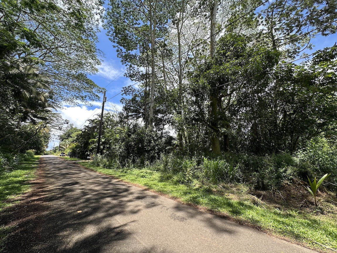 HEEPALI ST
